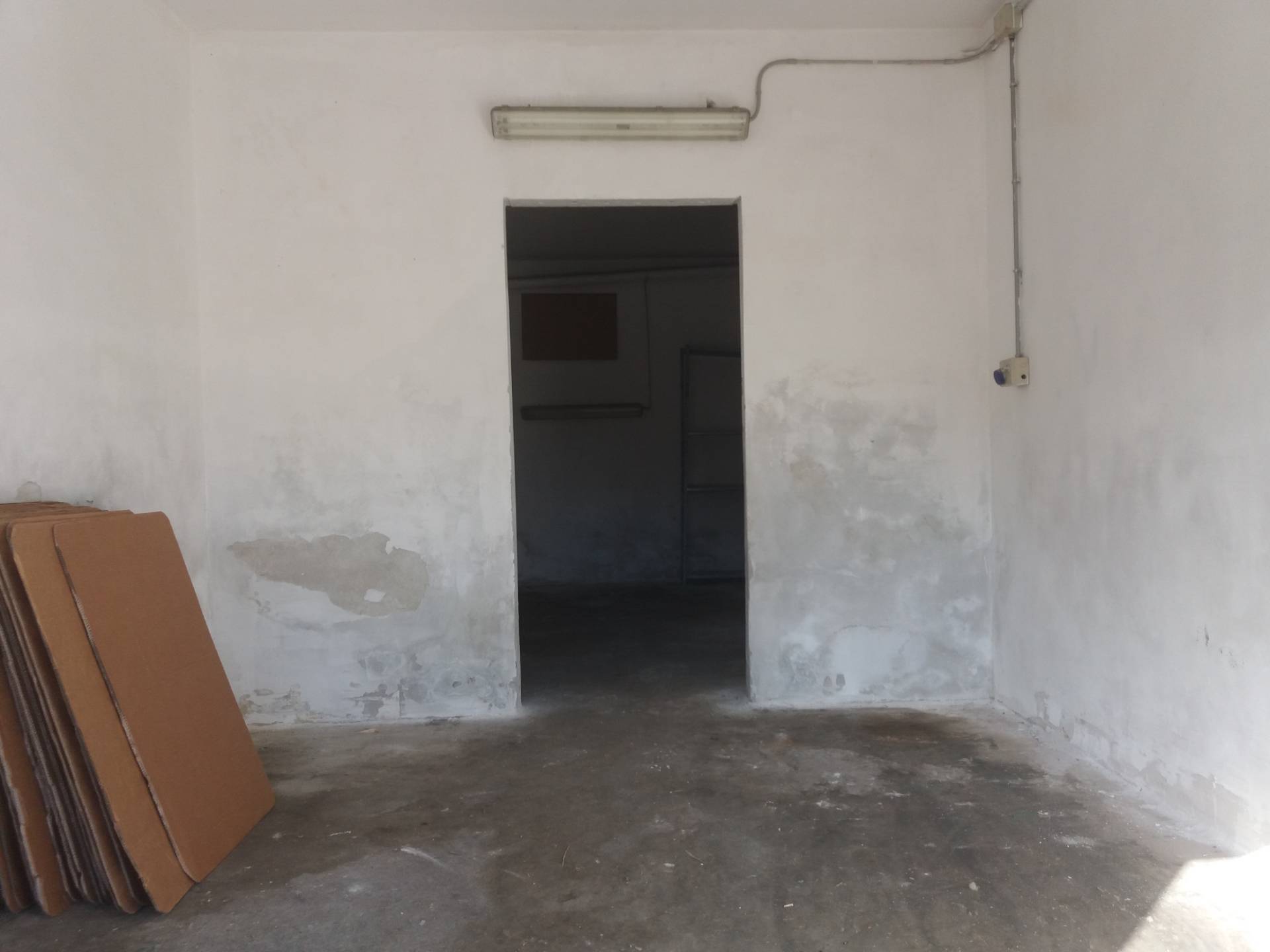 Magazzino in affitto a San Giuliano Terme, San Martino a Ulmiano