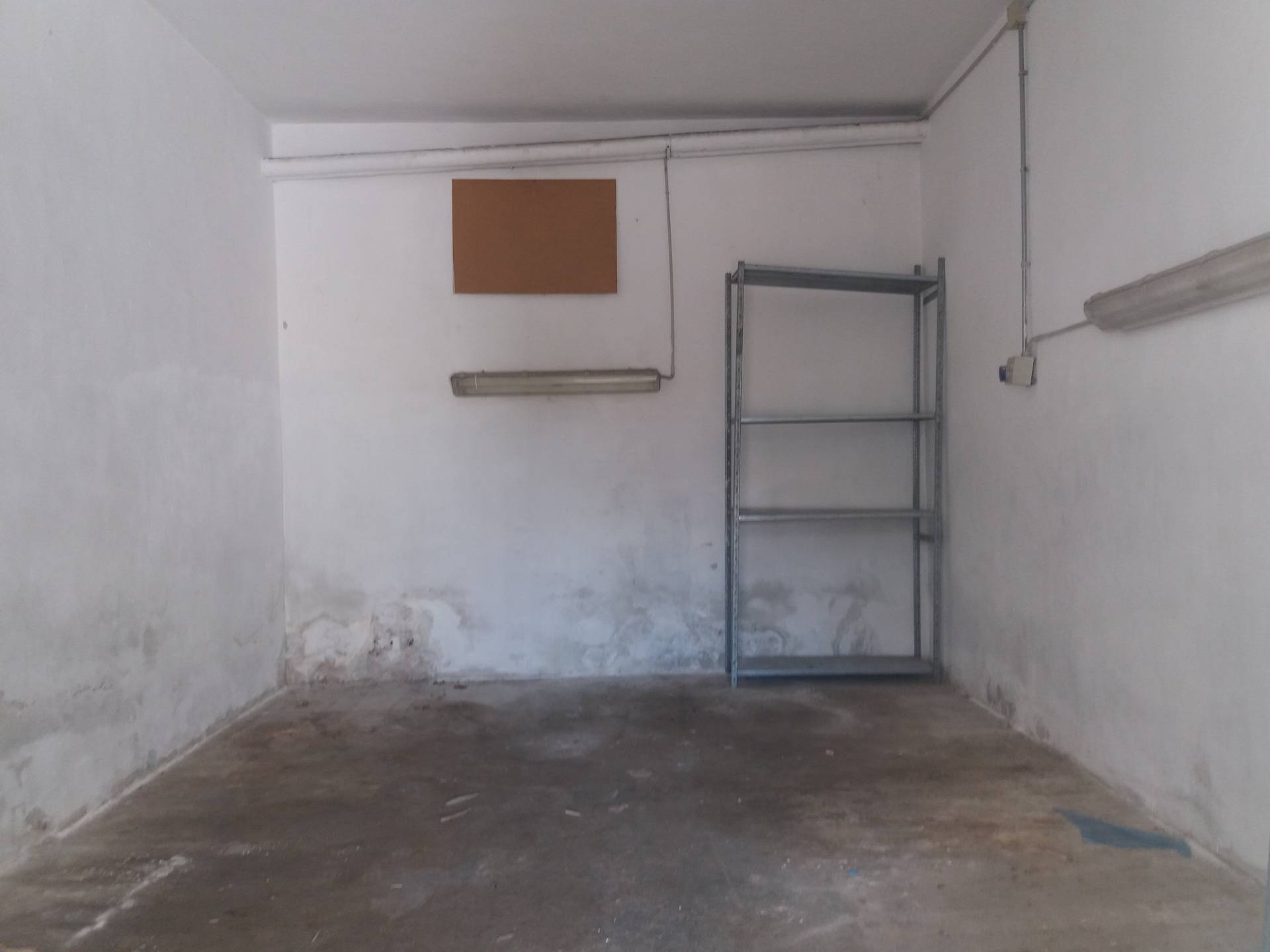 Magazzino in affitto a San Giuliano Terme, San Martino a Ulmiano