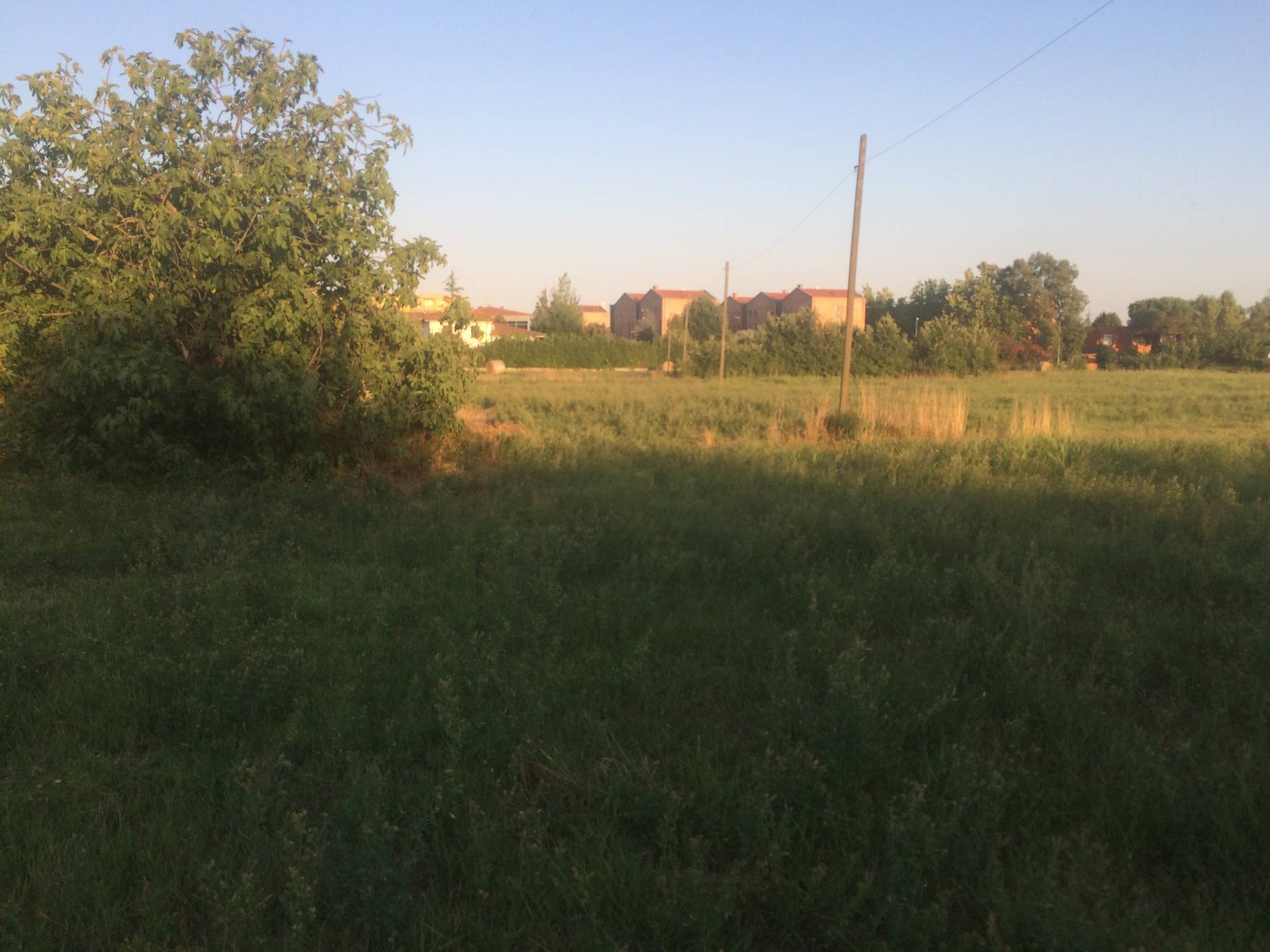 Terreno in vendita a Cascina, Capoluogo