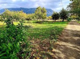 Terreno in vendita a San Giuliano Terme, Colognole