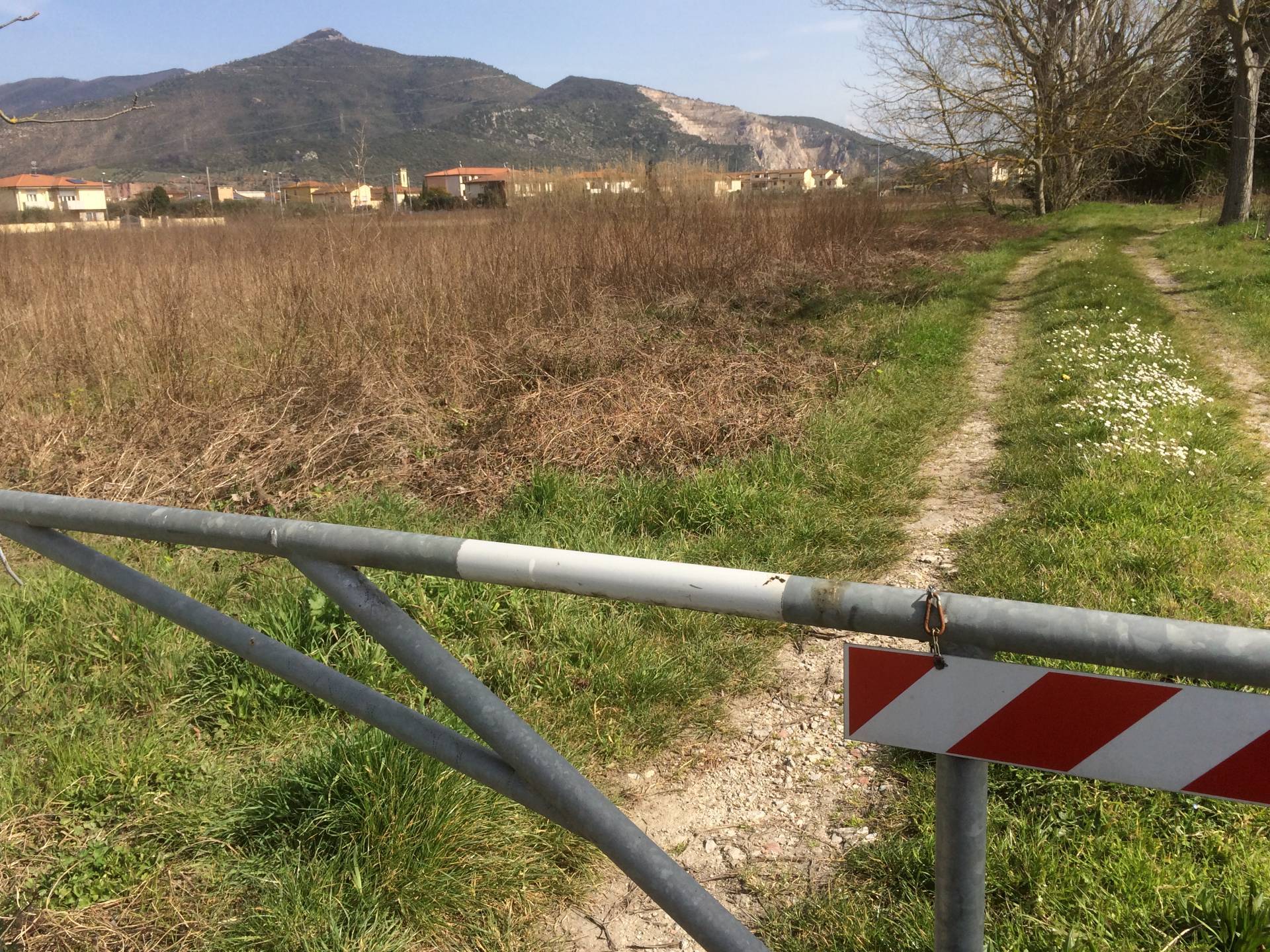 Terreno in vendita a Pisa, La Vettola