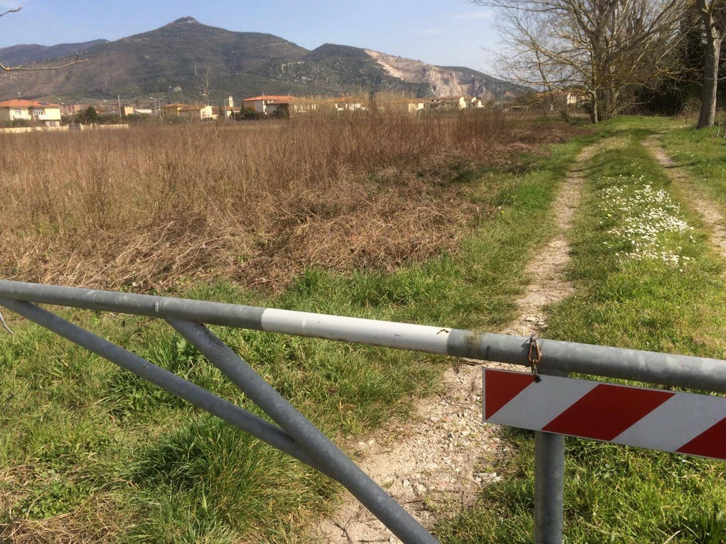 Terreno in vendita a Pisa, La Vettola