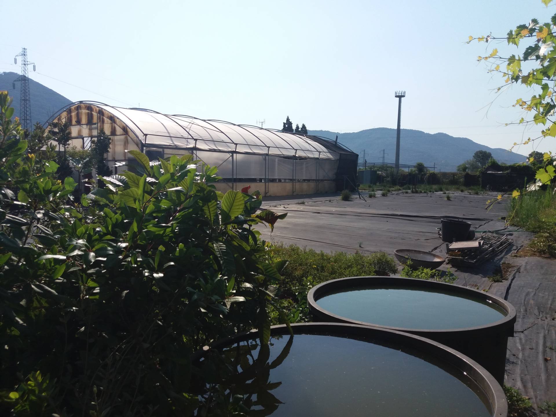 Terreno in vendita a Vecchiano, Filettole
