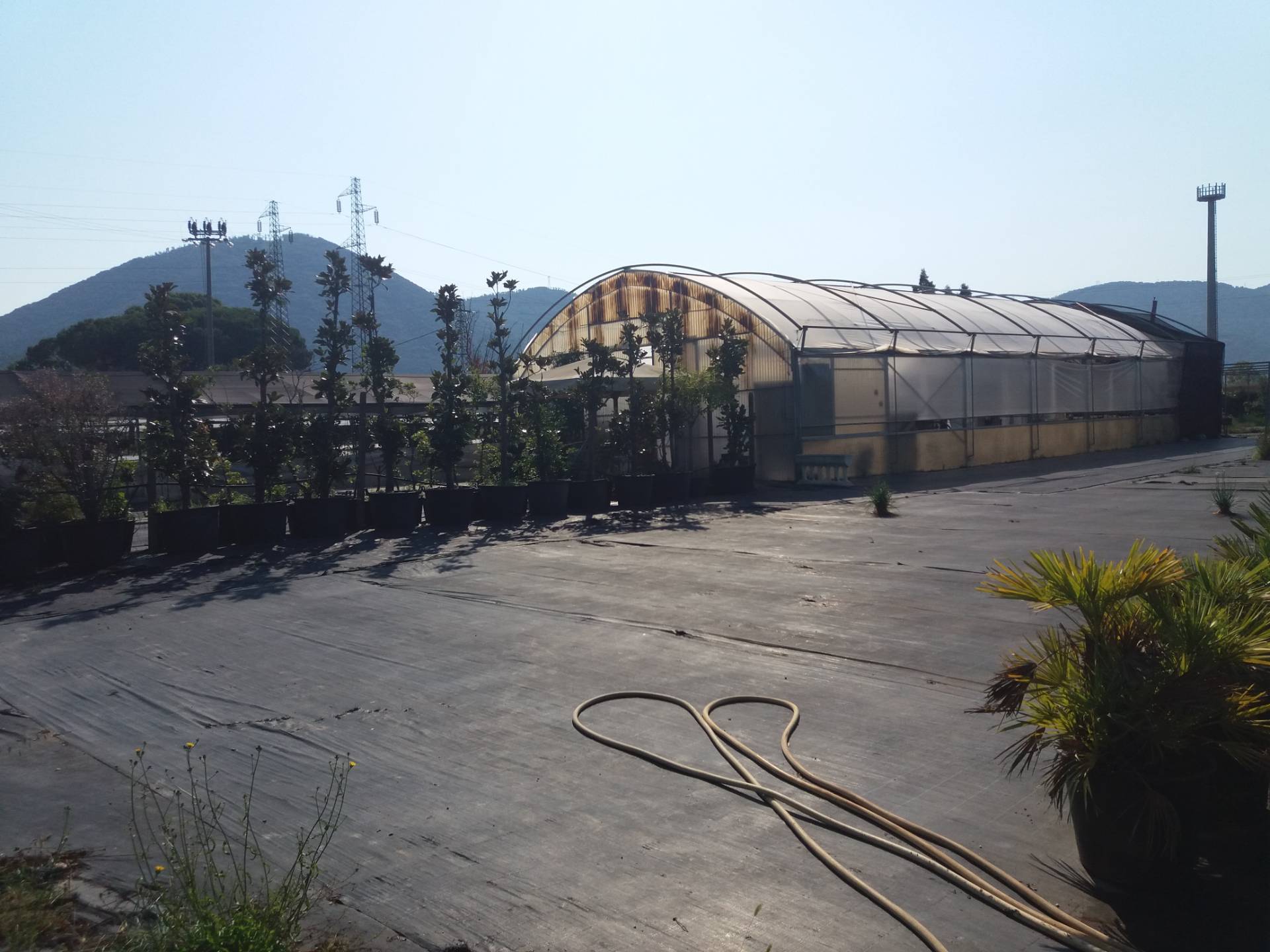 Terreno in vendita a Vecchiano, Filettole