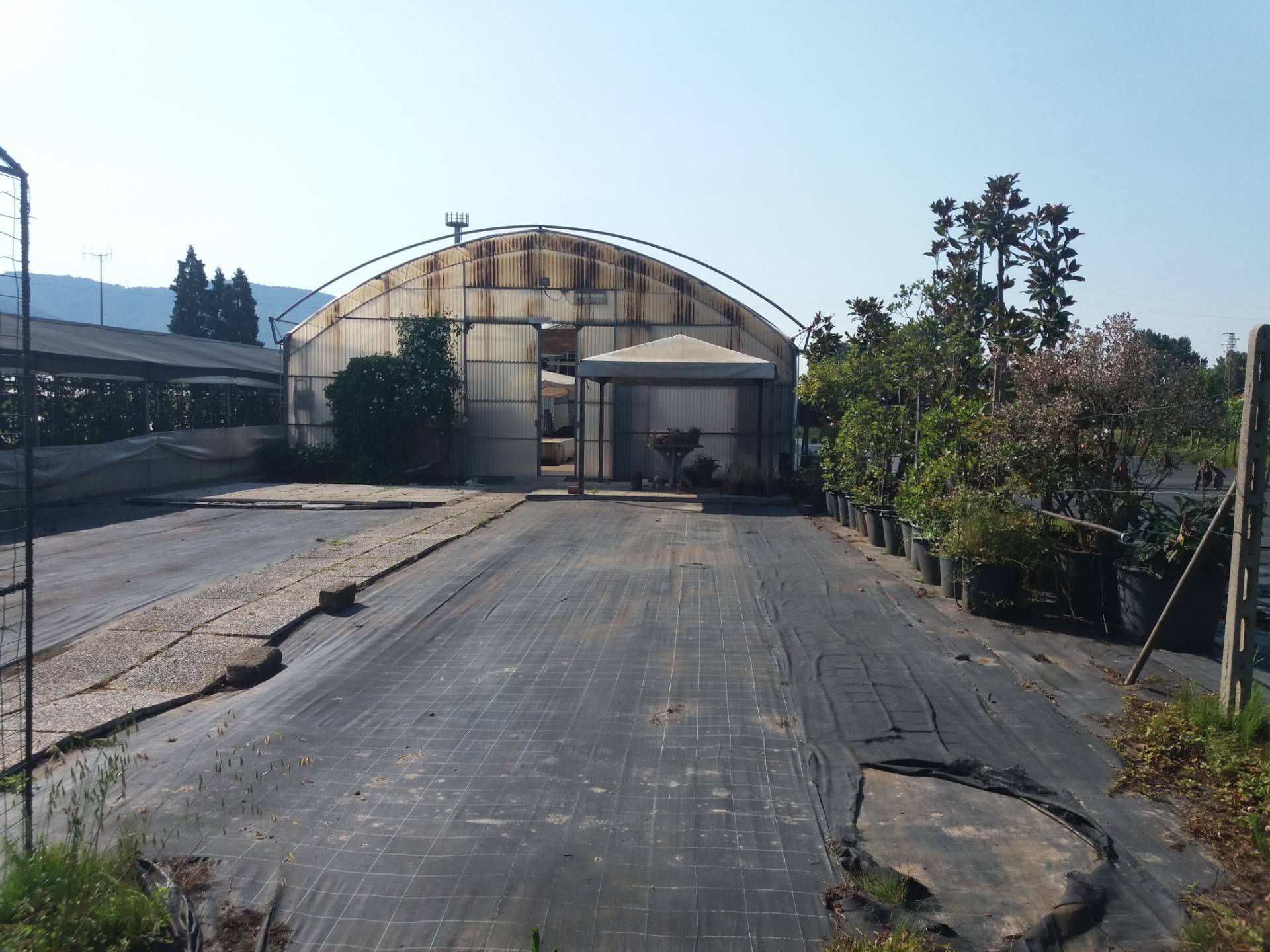 Terreno in vendita a Vecchiano, Filettole