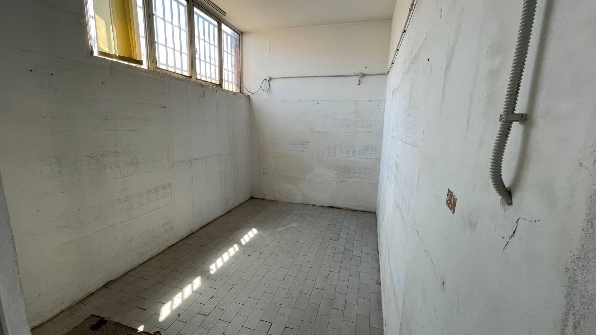 Fondo Artigianale in affitto a Pisa, Porta Fiorentina