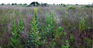 Terreno in vendita a San Giuliano Terme, San Martino a Ulmiano