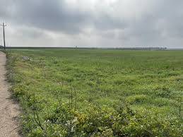 Terreno in vendita a San Giuliano Terme, San Martino a Ulmiano