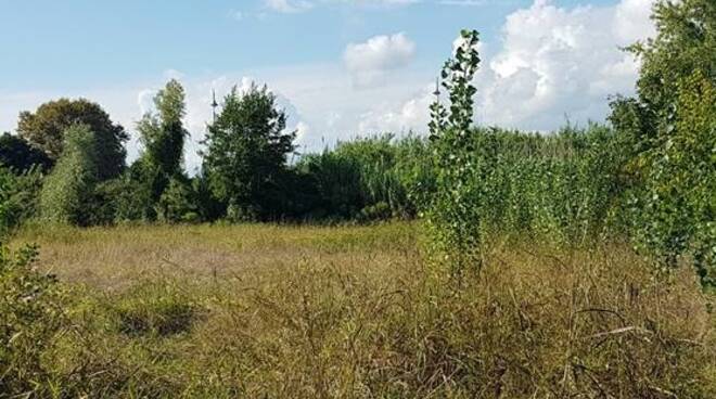 Terreno in vendita a San Giuliano Terme, San Martino a Ulmiano