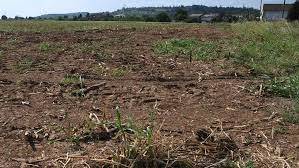 Terreno in vendita a San Giuliano Terme, San Martino a Ulmiano