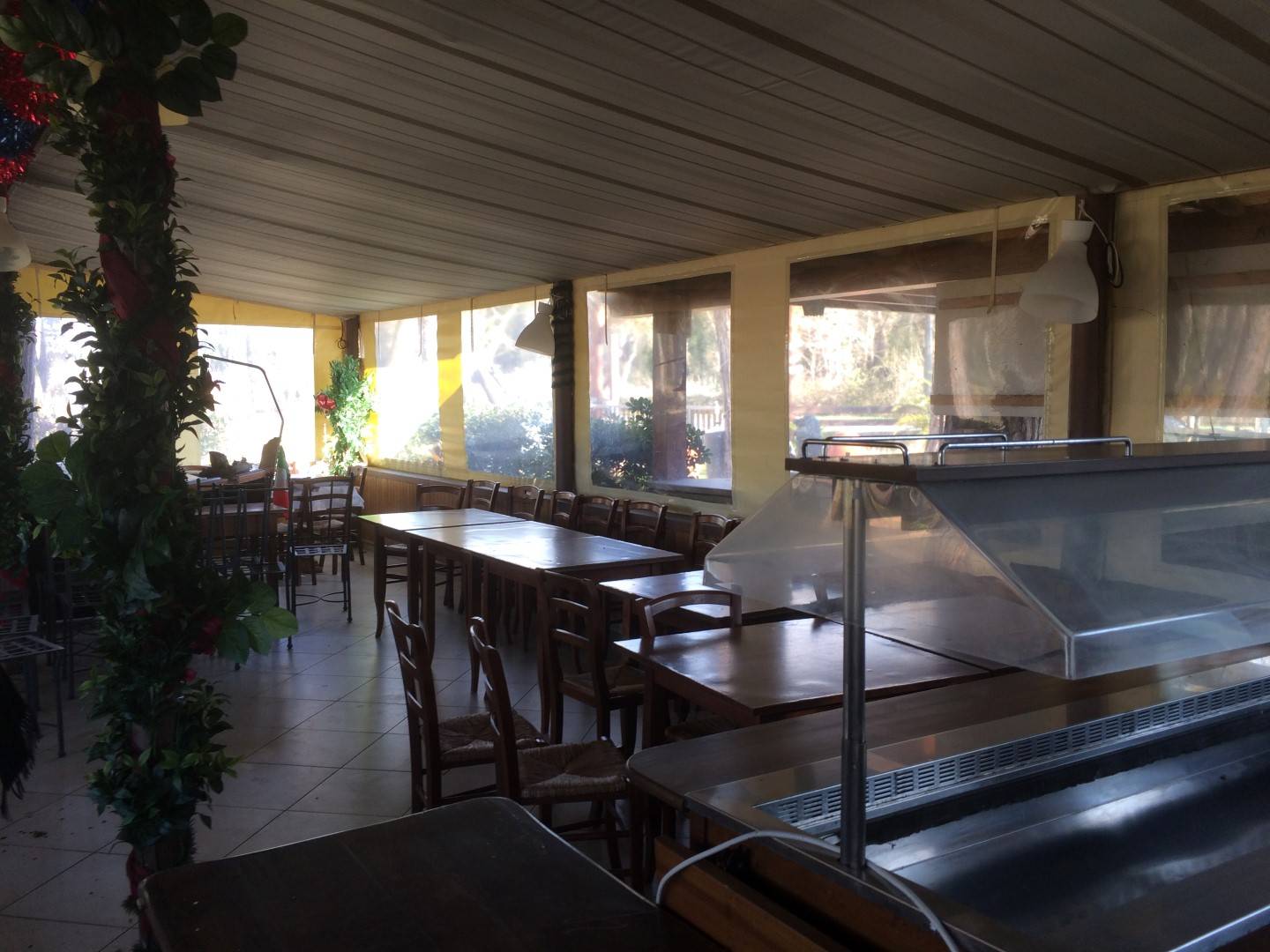 Attivit/licenza in vendita a Pisa, Tirrenia