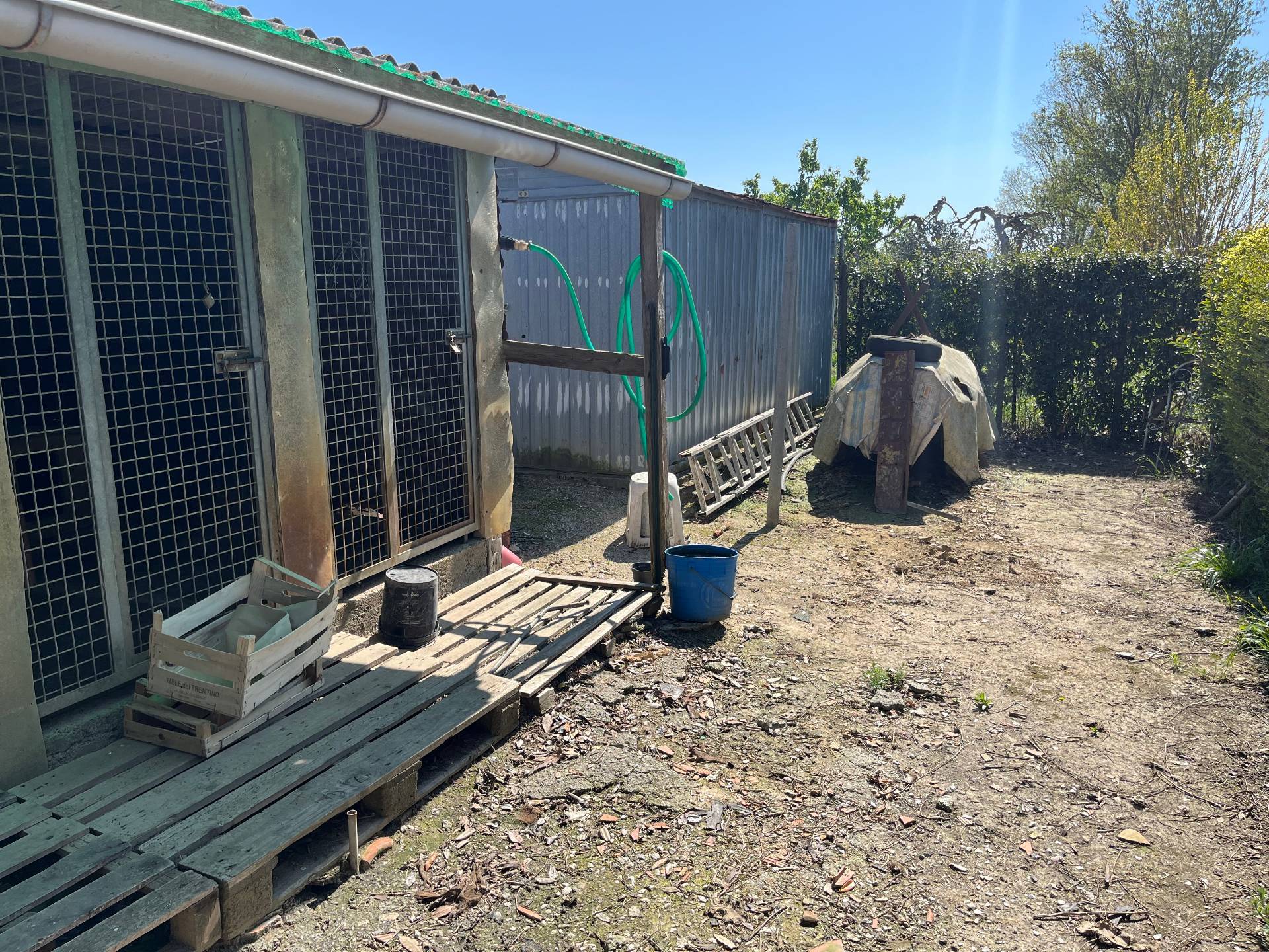 immagine annuncio 1 di 4