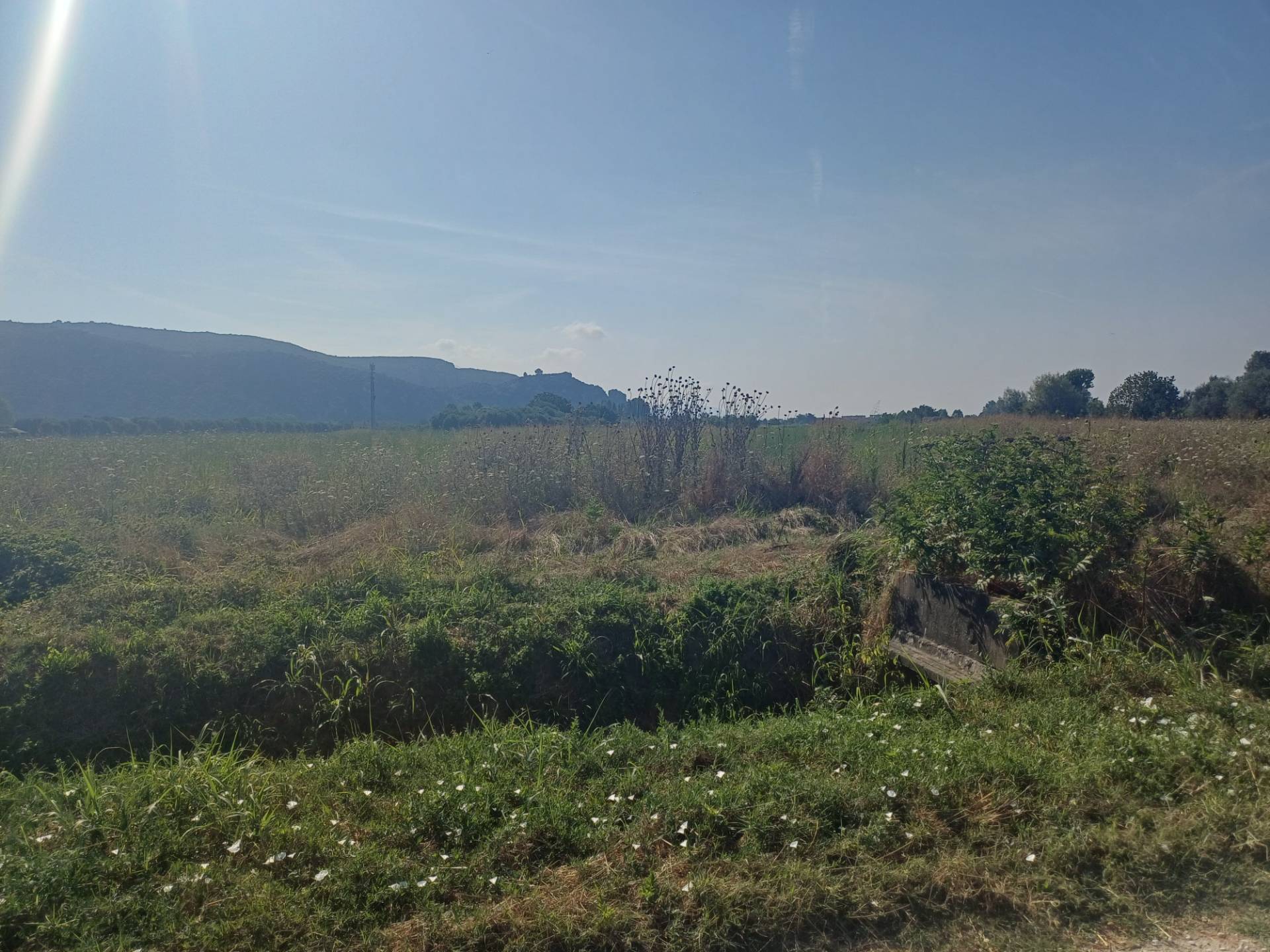 Terreno in vendita a Vecchiano, Nodica