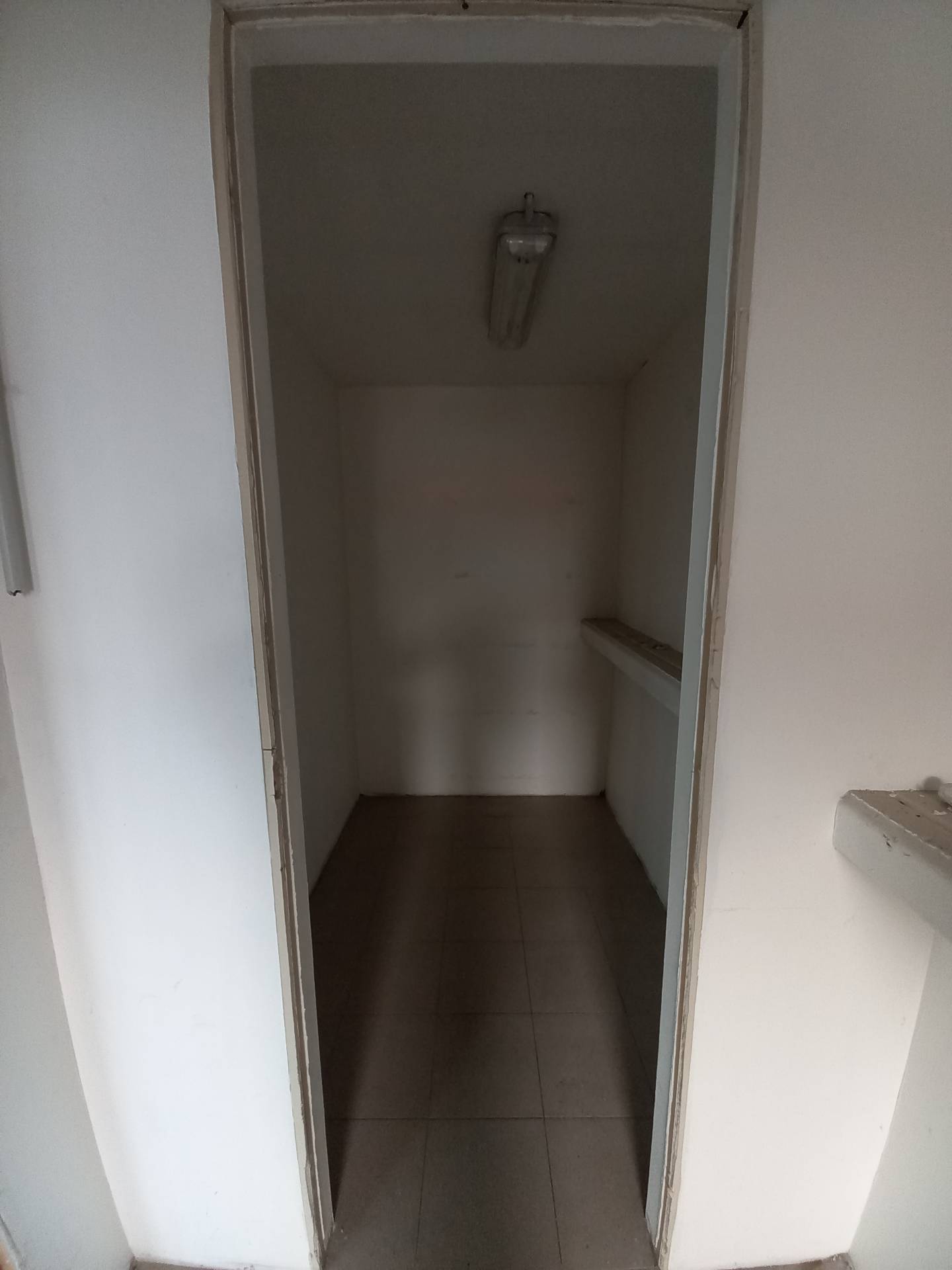 Fondo Commerciale in affitto a Pisa, Ospedaletto