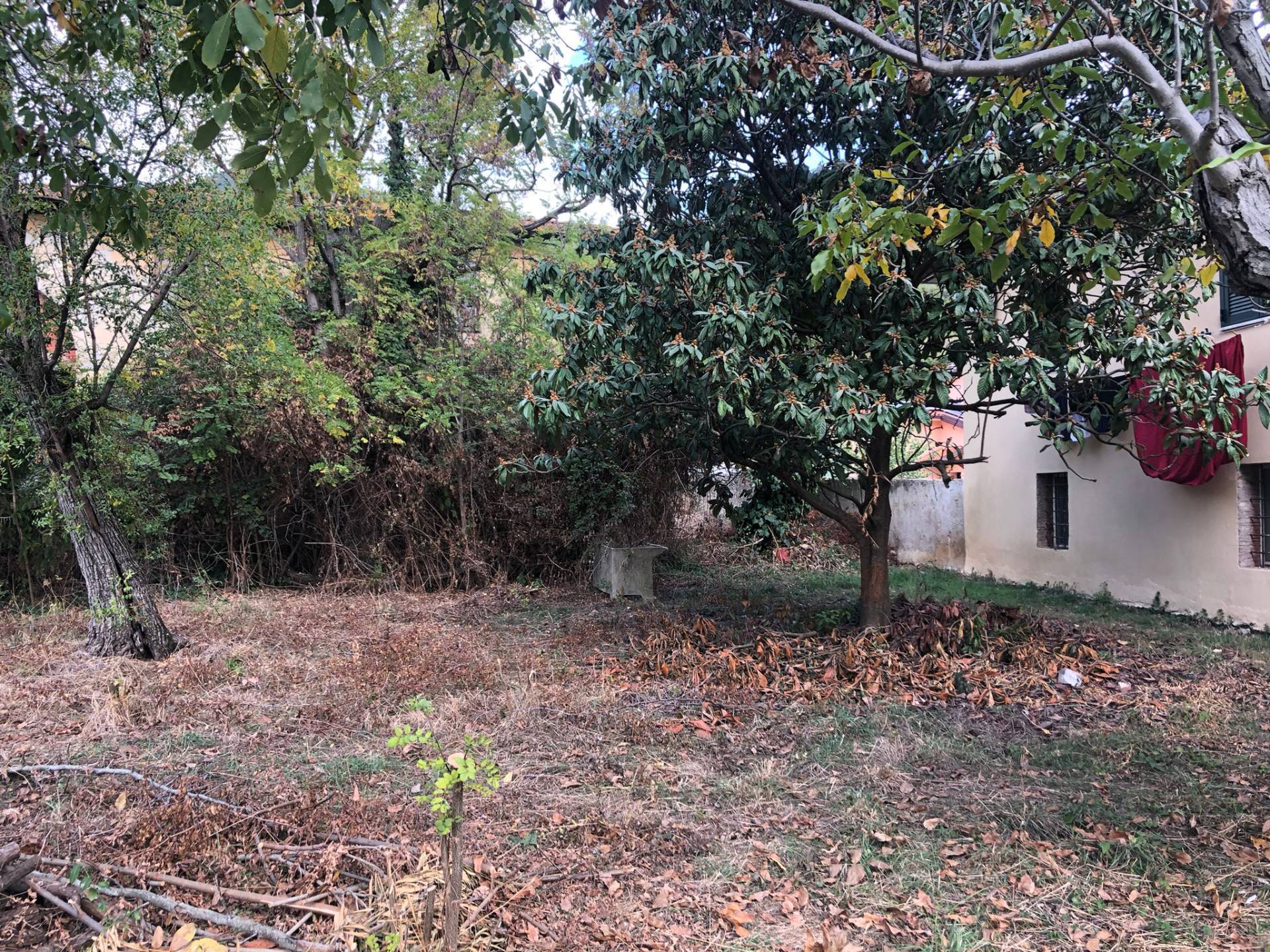 Casa indipendente in vendita a Calci, La Gabella