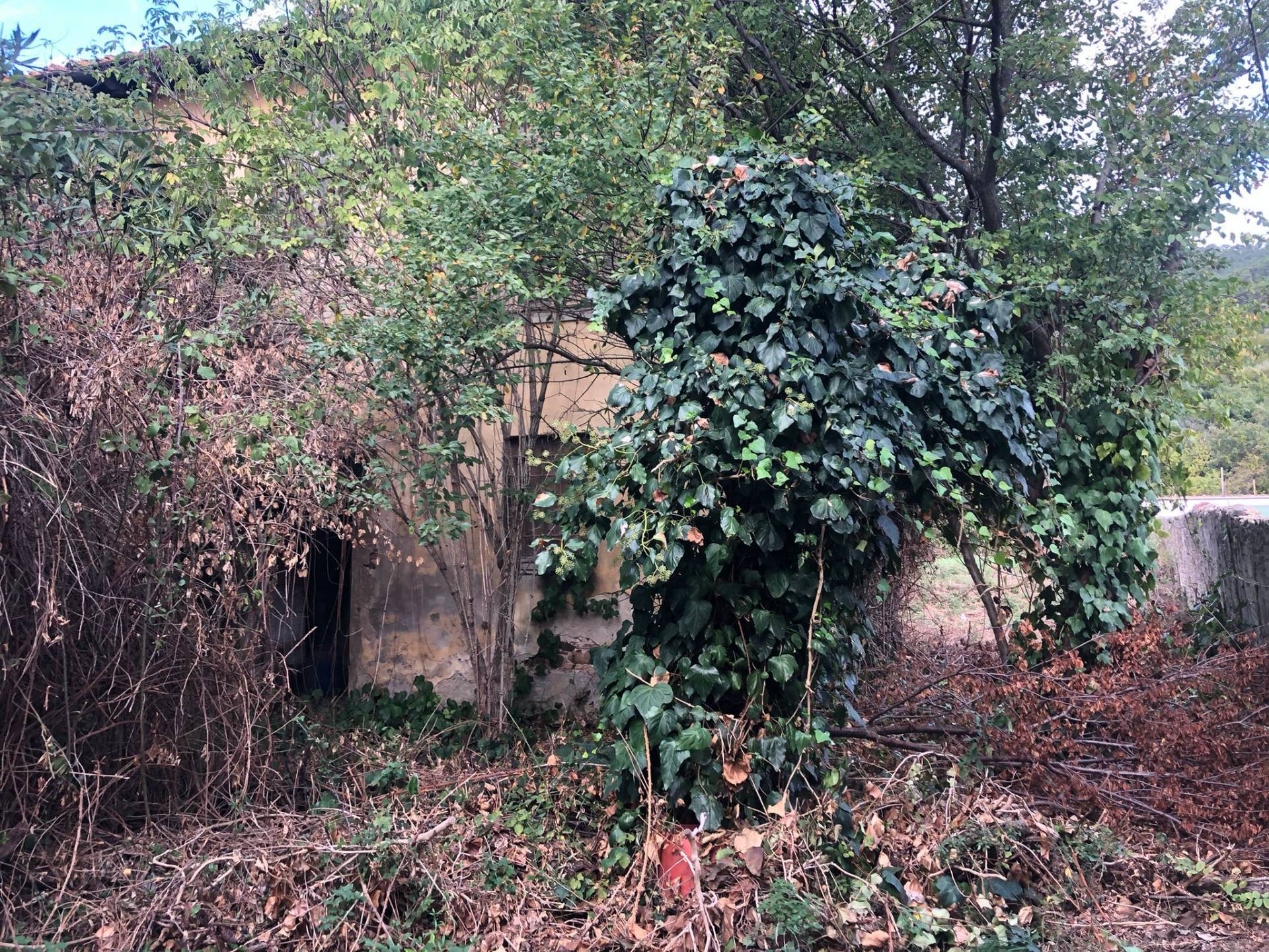 Casa indipendente in vendita a Calci, La Gabella