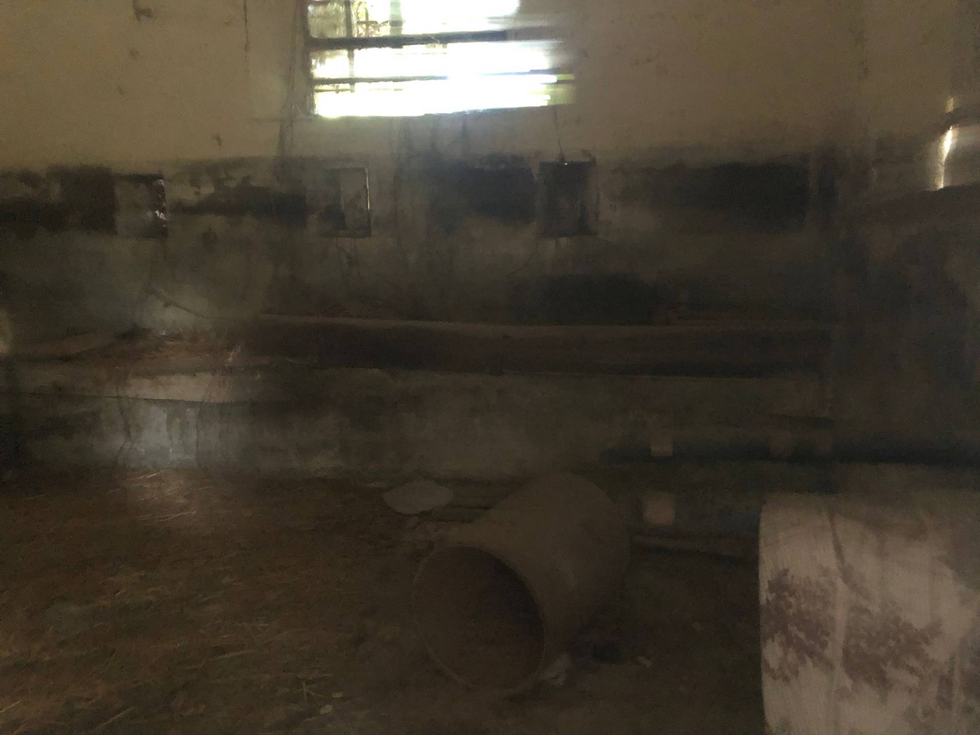 Casa indipendente in vendita a Calci, La Gabella