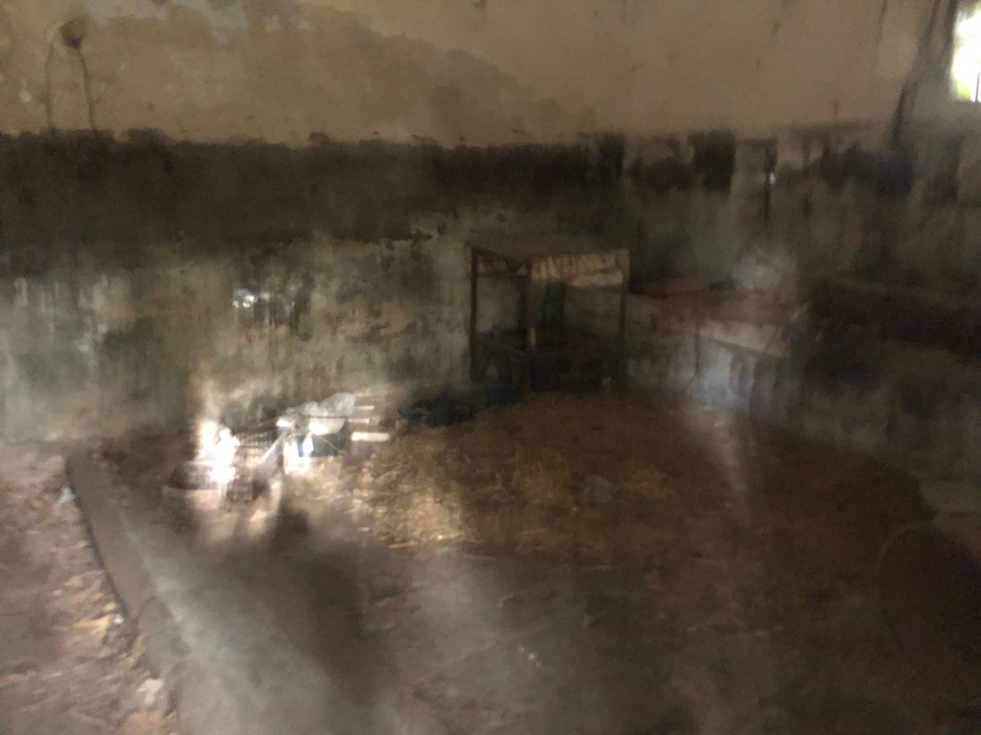 Casa indipendente in vendita a Calci, La Gabella