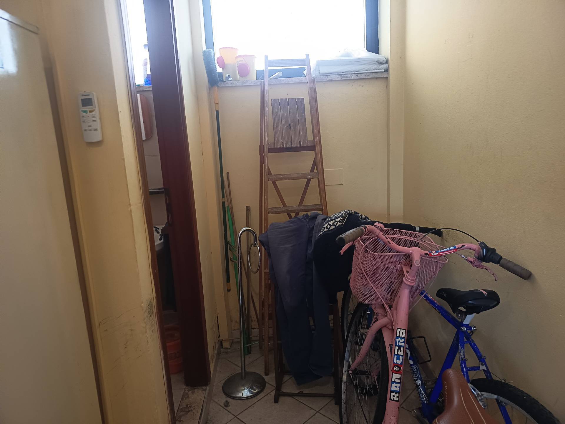 Attivit/licenza in vendita a Pisa, Cisanello