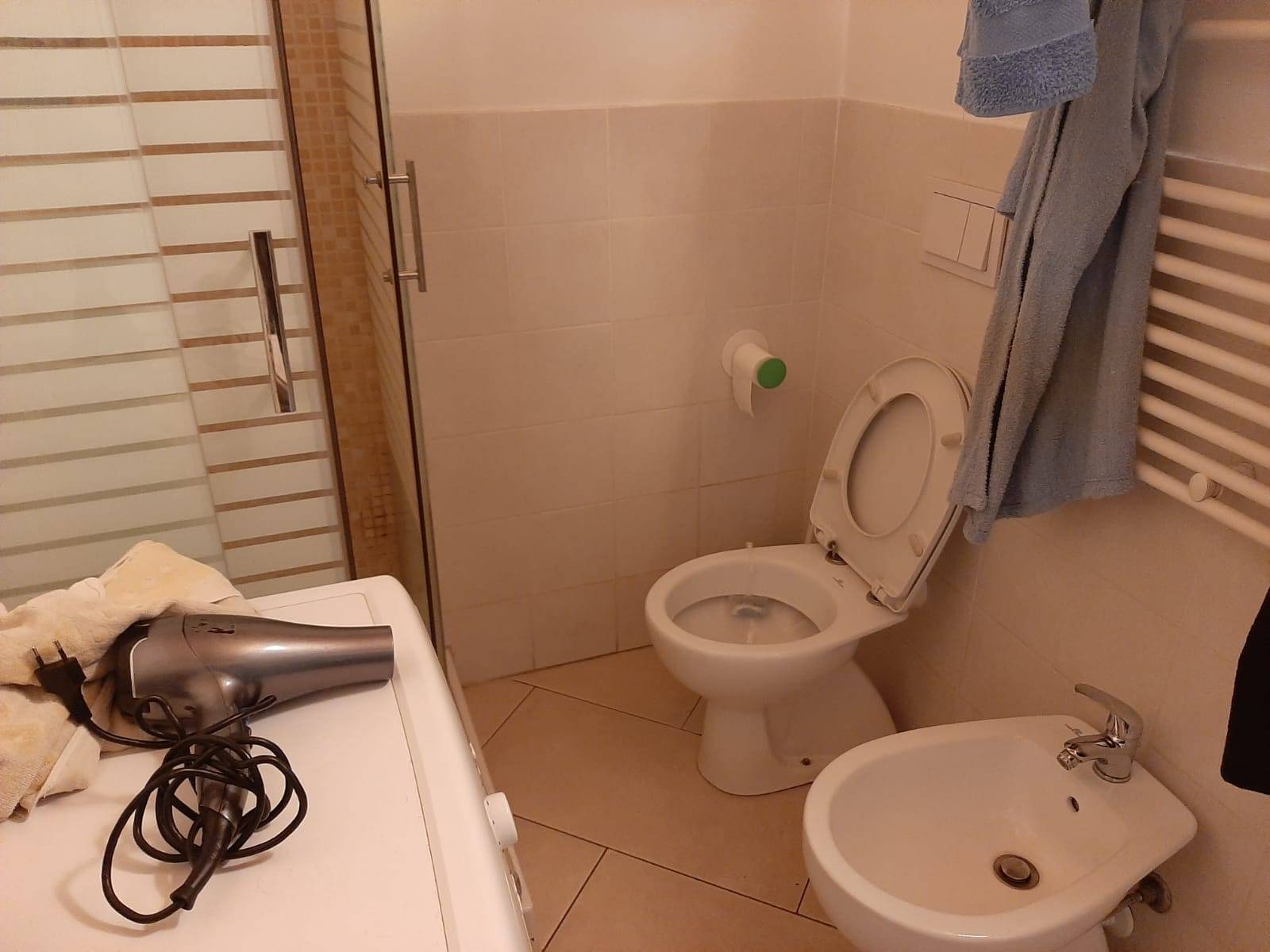 Casa indipendente in affitto a Pisa, Borghetto