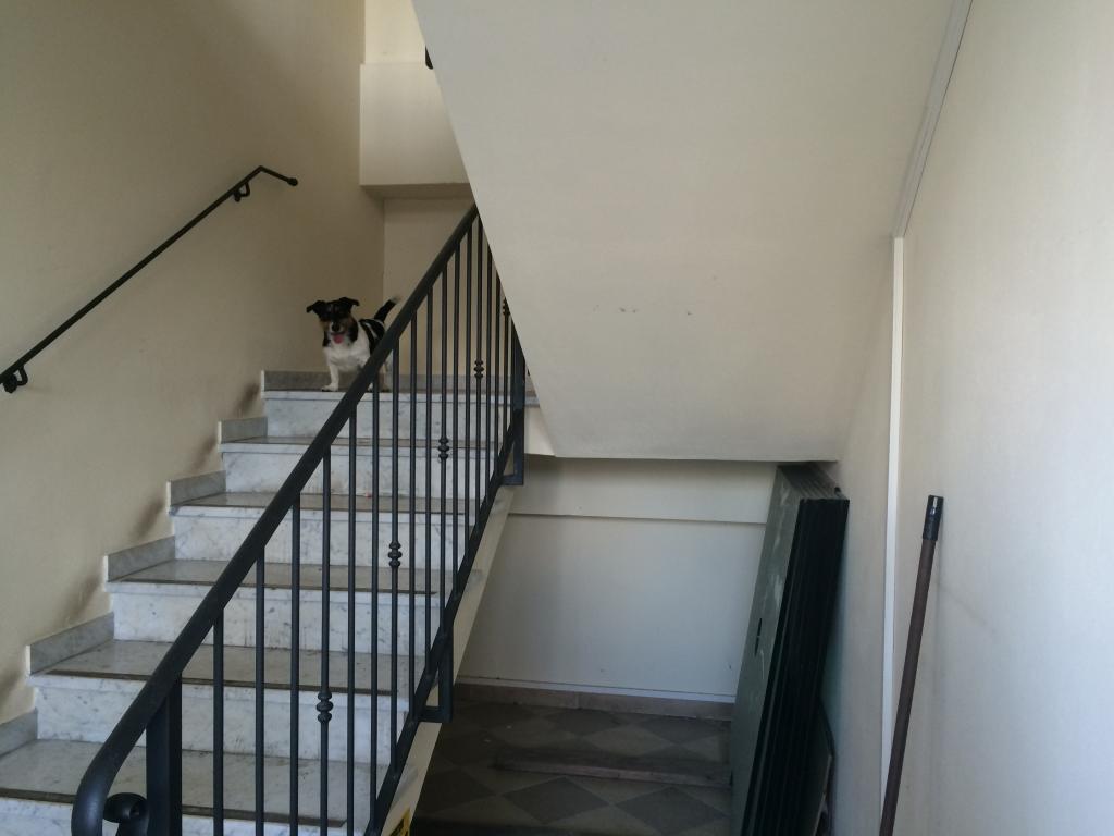 Ufficio in affitto a San Giuliano Terme, San Martino a Ulmiano