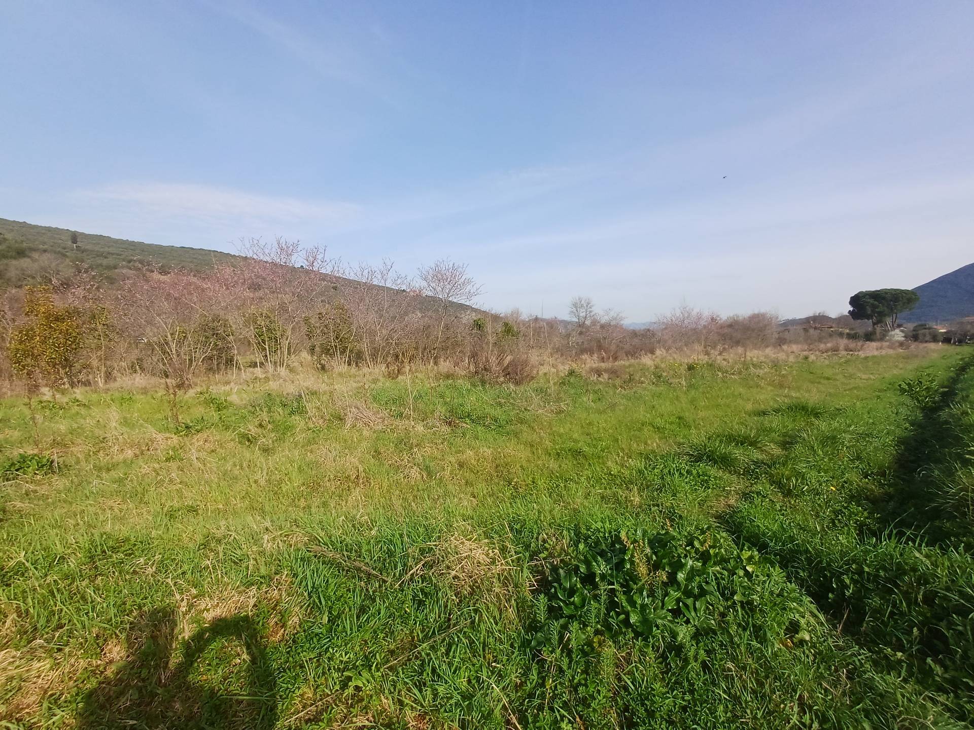 Terreno in vendita a Vecchiano, Avane