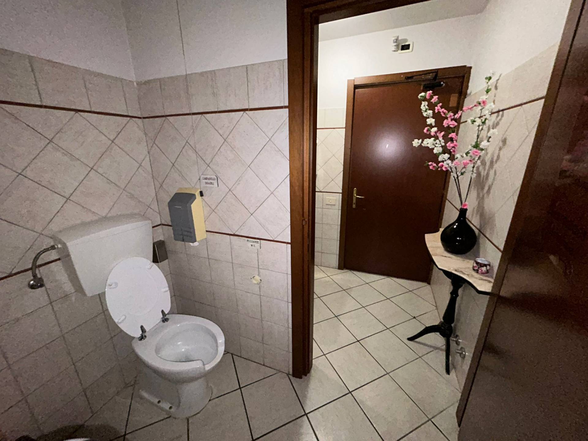 Attivit/licenza in affitto a Pisa, La Vettola