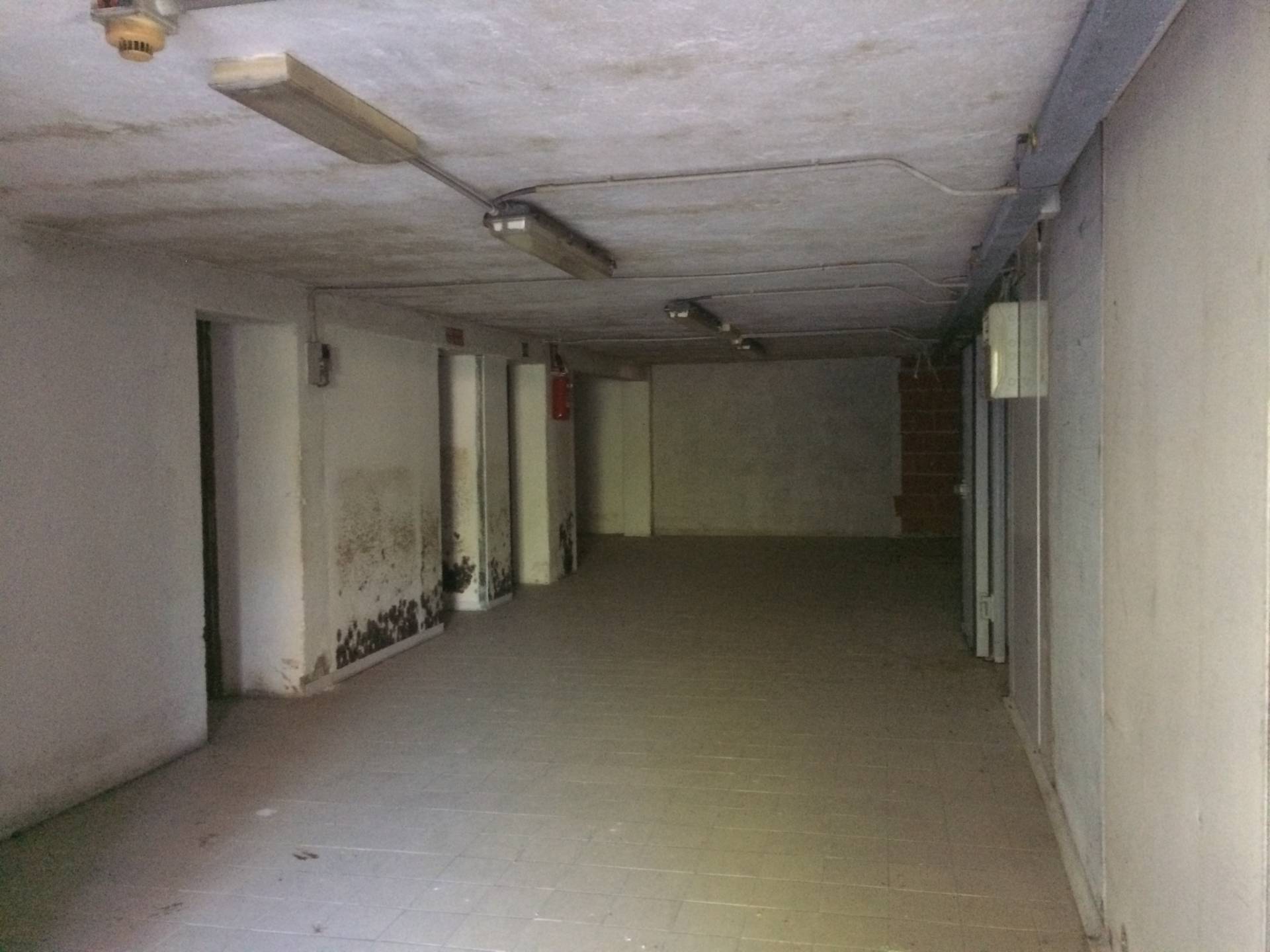 Fondo Commerciale in affitto a Pisa, La Vettola