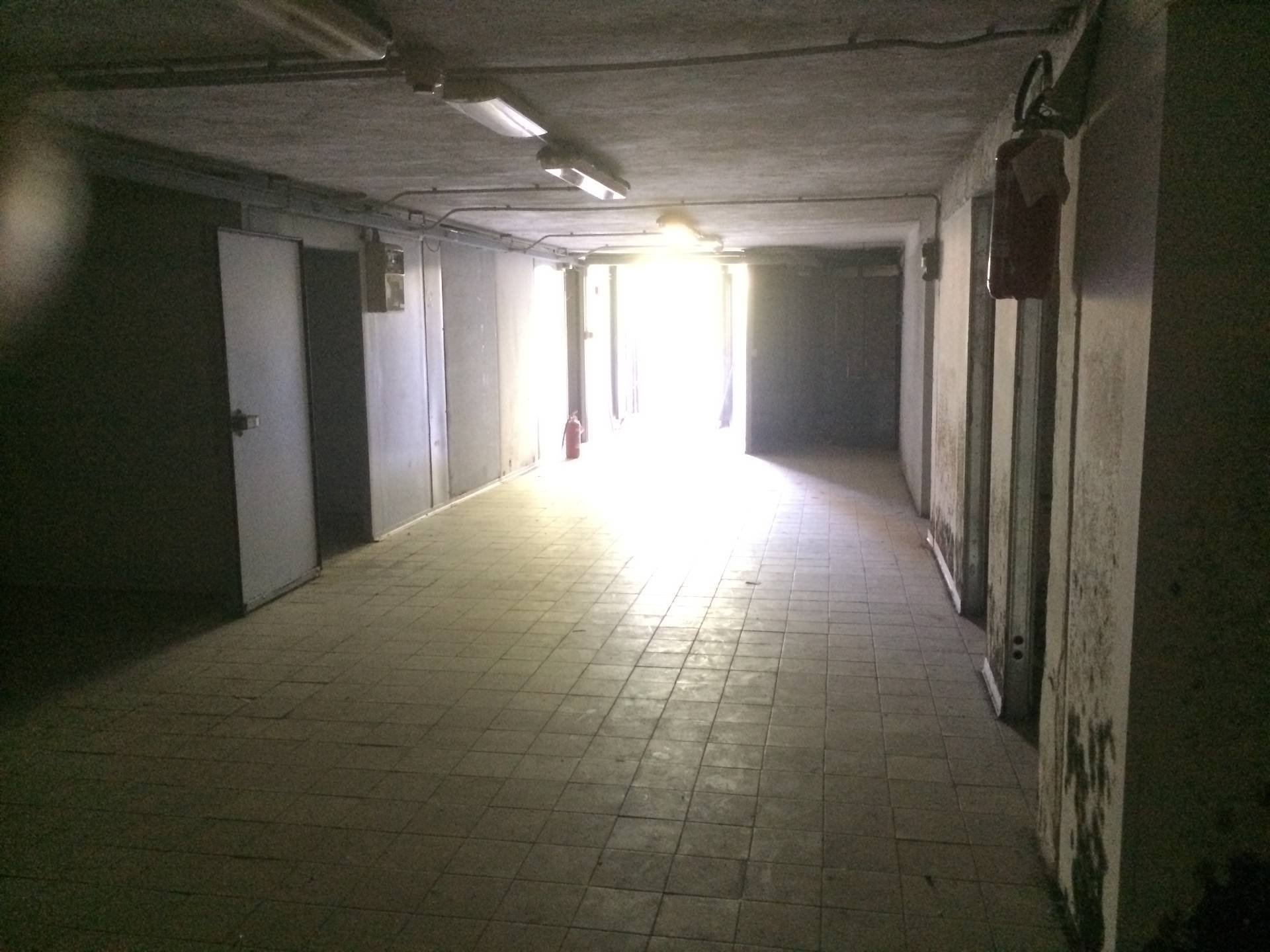 Fondo Commerciale in affitto a Pisa, La Vettola