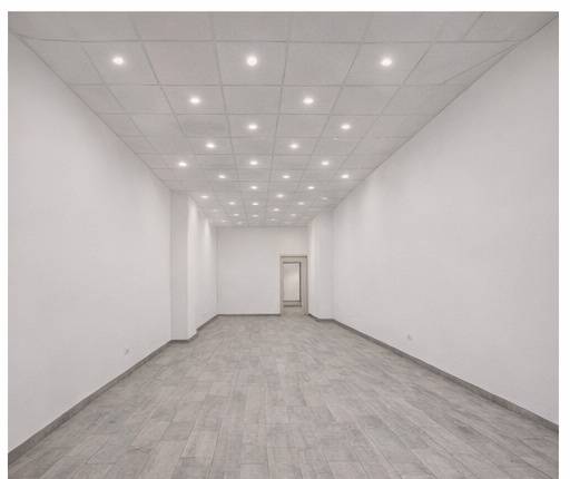 Fondo Commerciale in vendita a Pisa, La Vettola