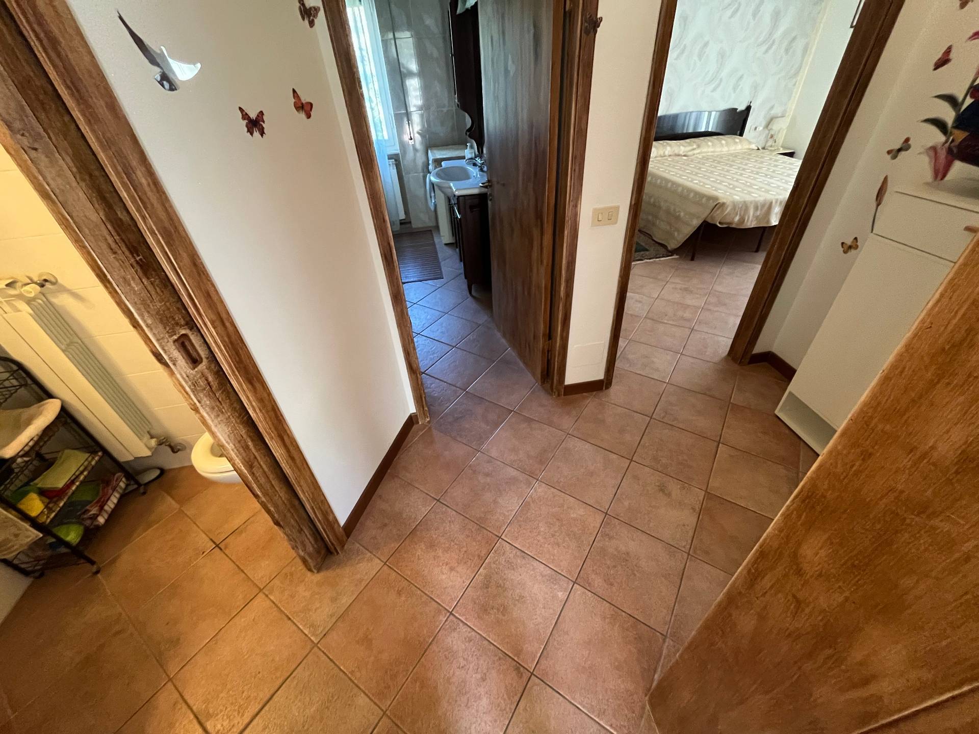 Casa indipendente in affitto a Pisa, Tirrenia