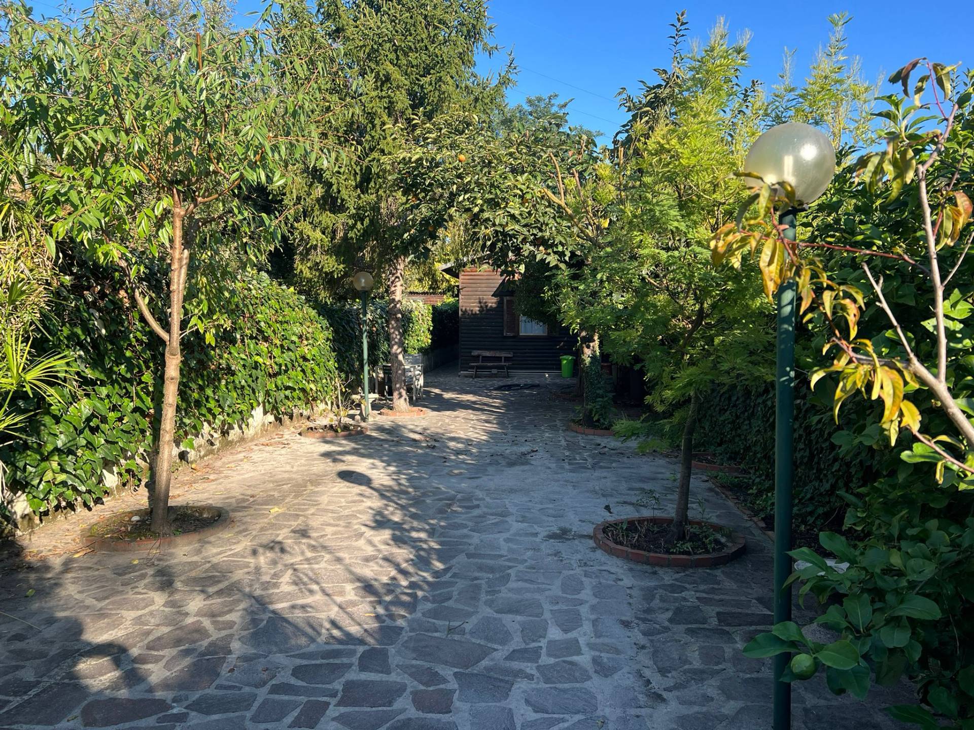 Casa indipendente in affitto a Pisa, Porta a mare