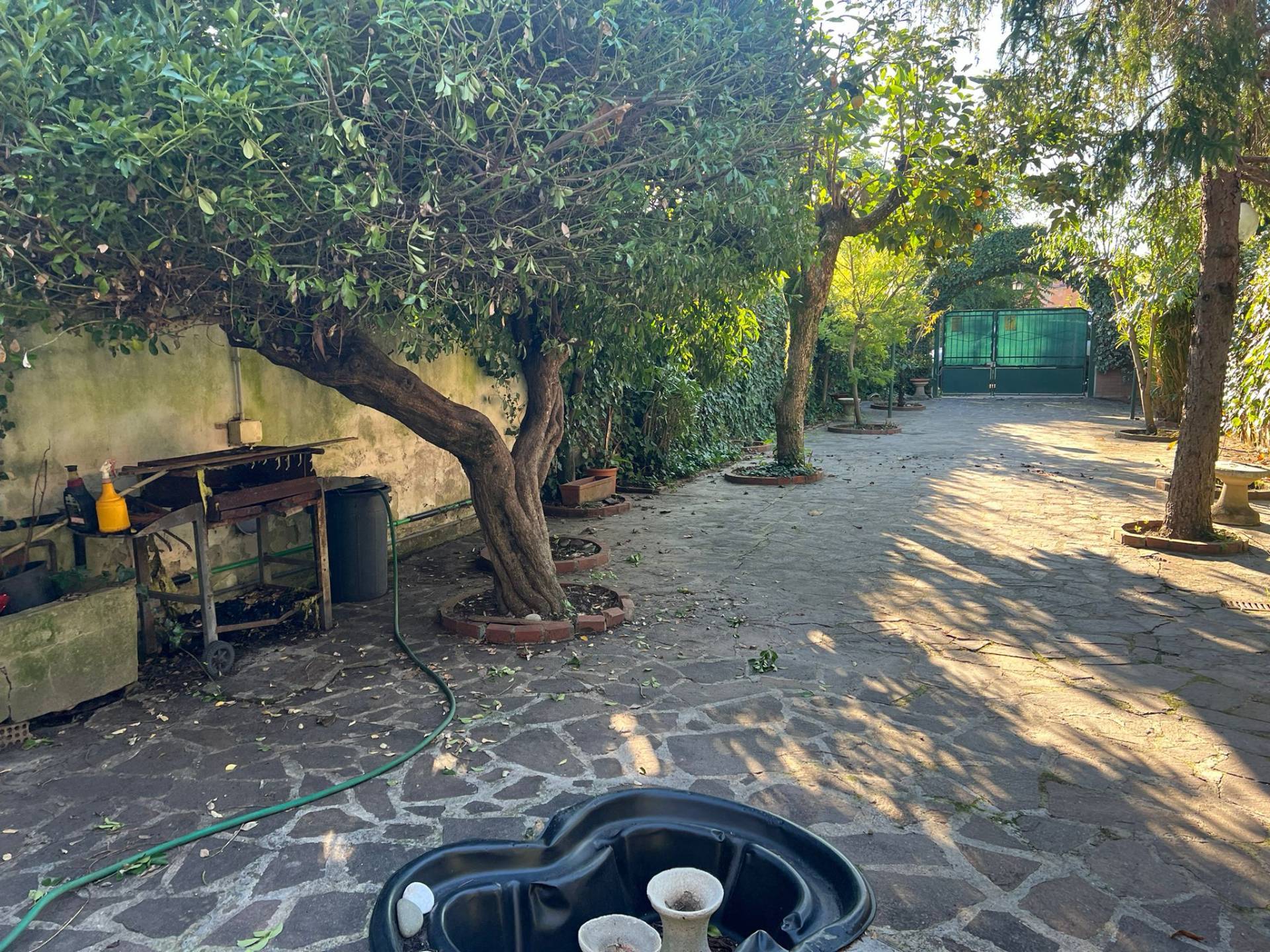 Casa indipendente in affitto a Pisa, Porta a mare