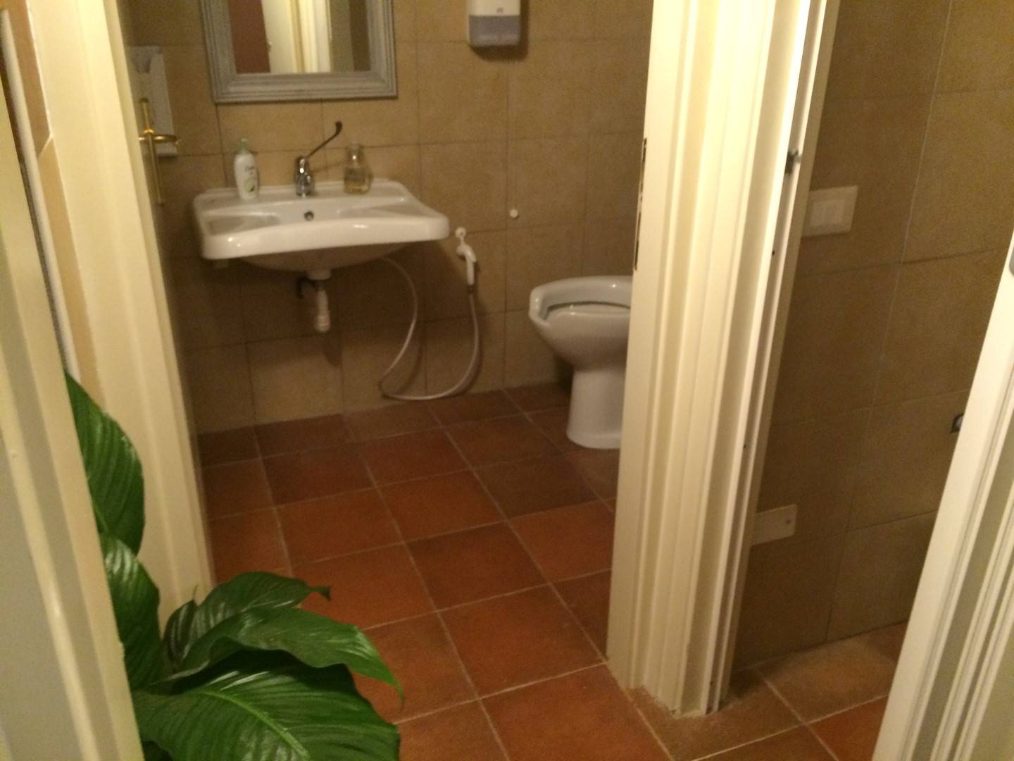 Attivit/licenza in vendita a Pisa, San Francesco