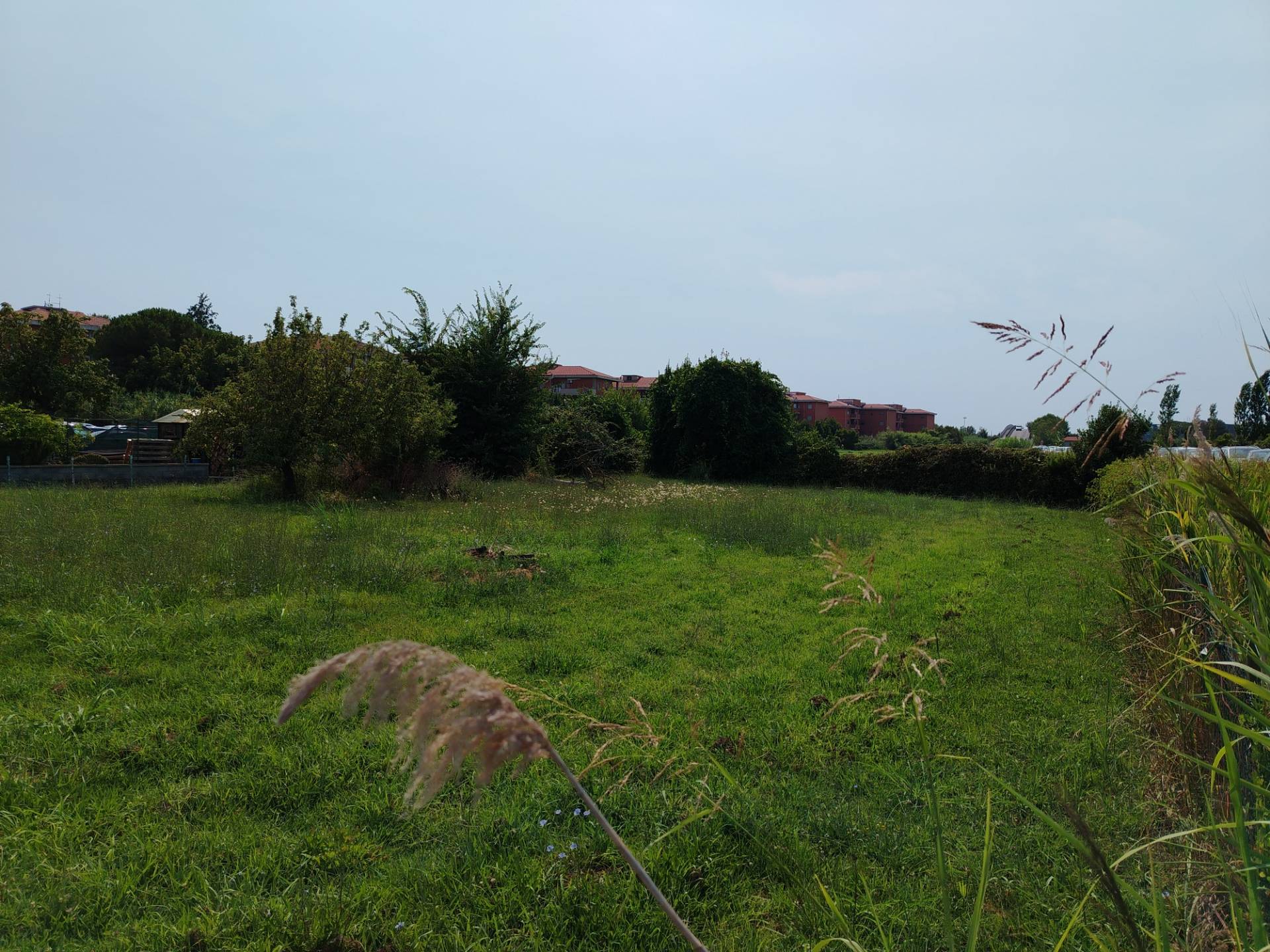 Terreno edificabile in affitto a Pisa, San Giusto