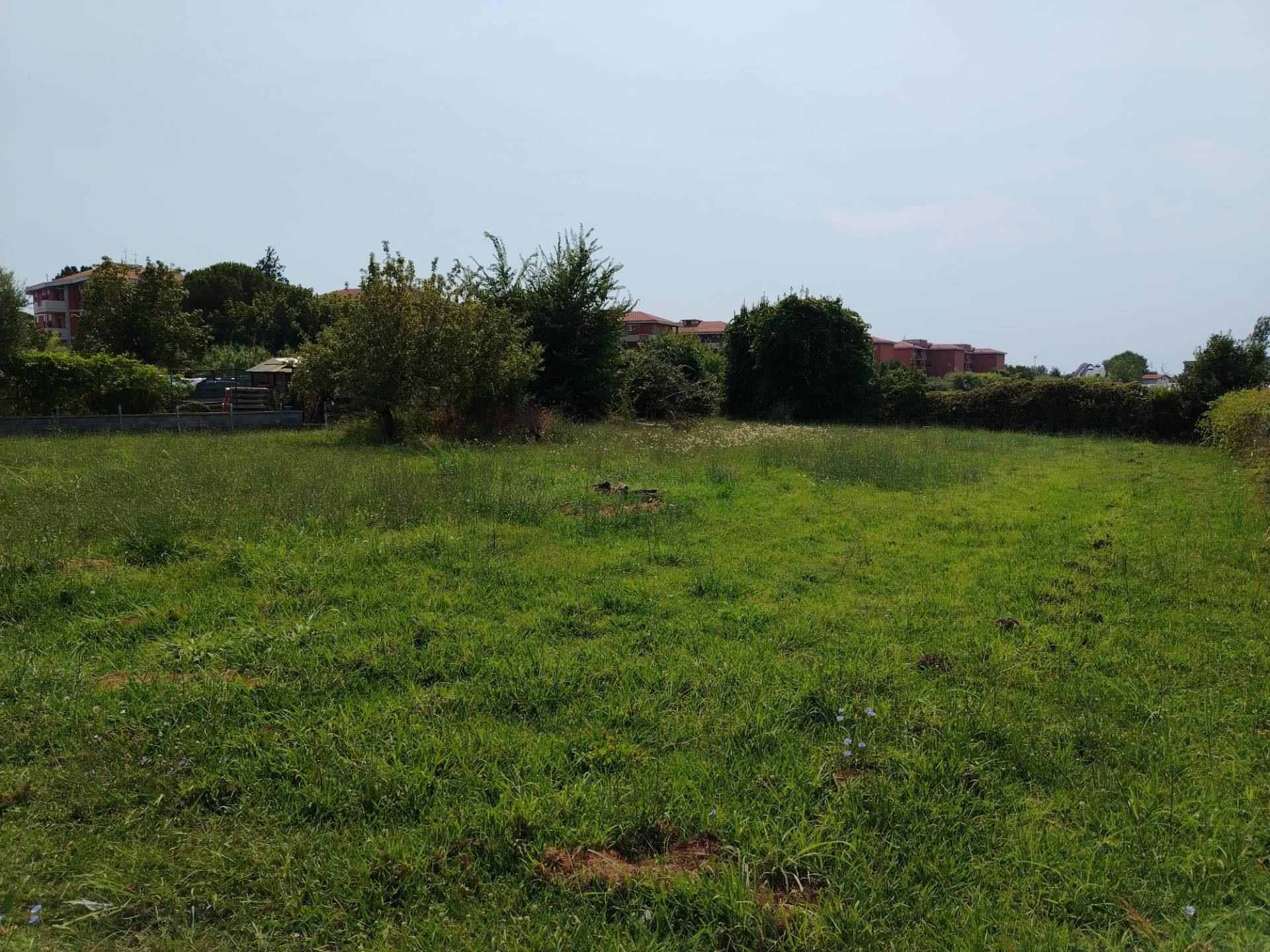 Terreno edificabile in affitto a Pisa, San Giusto