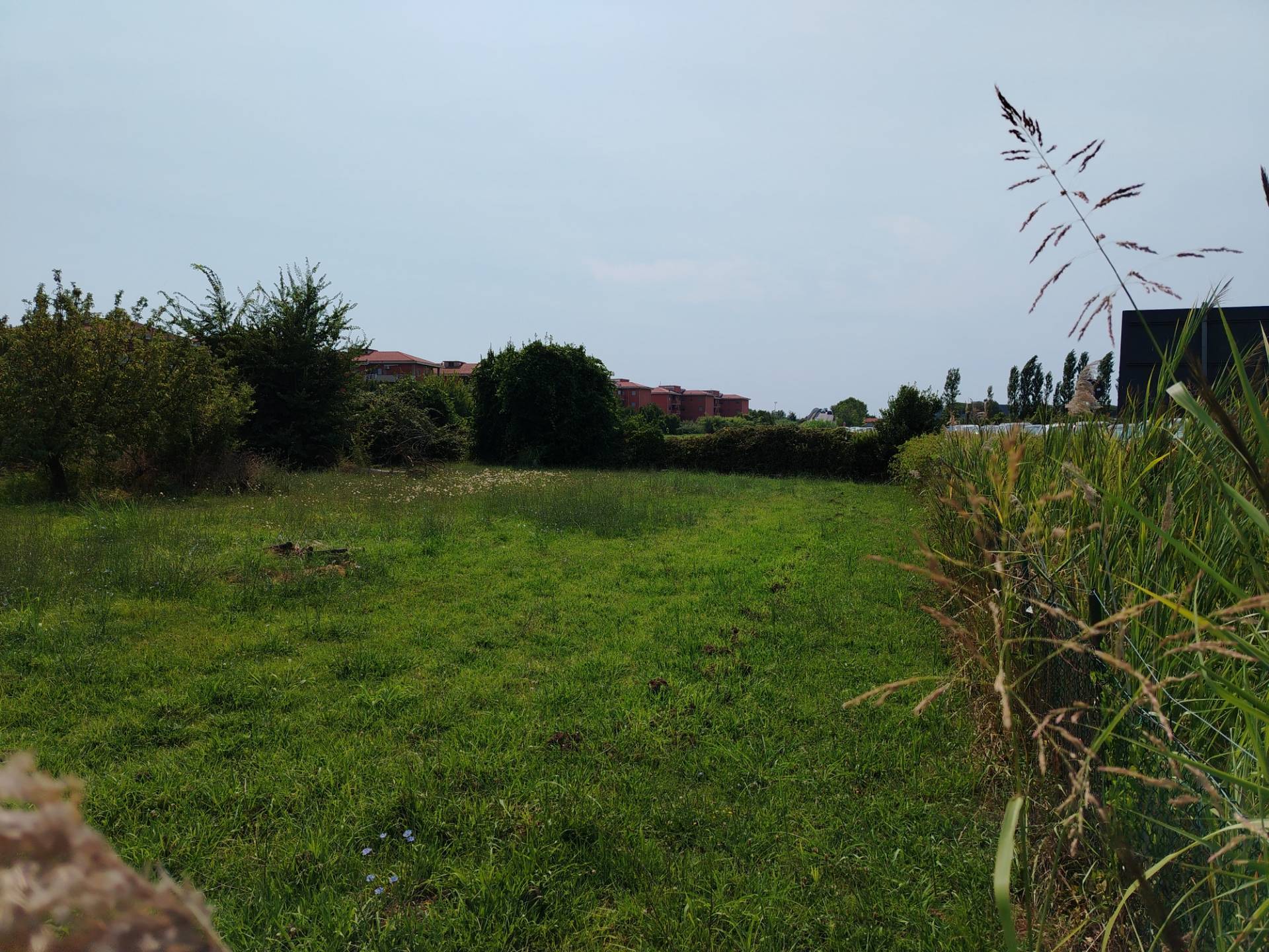 Terreno edificabile in affitto a Pisa, San Giusto