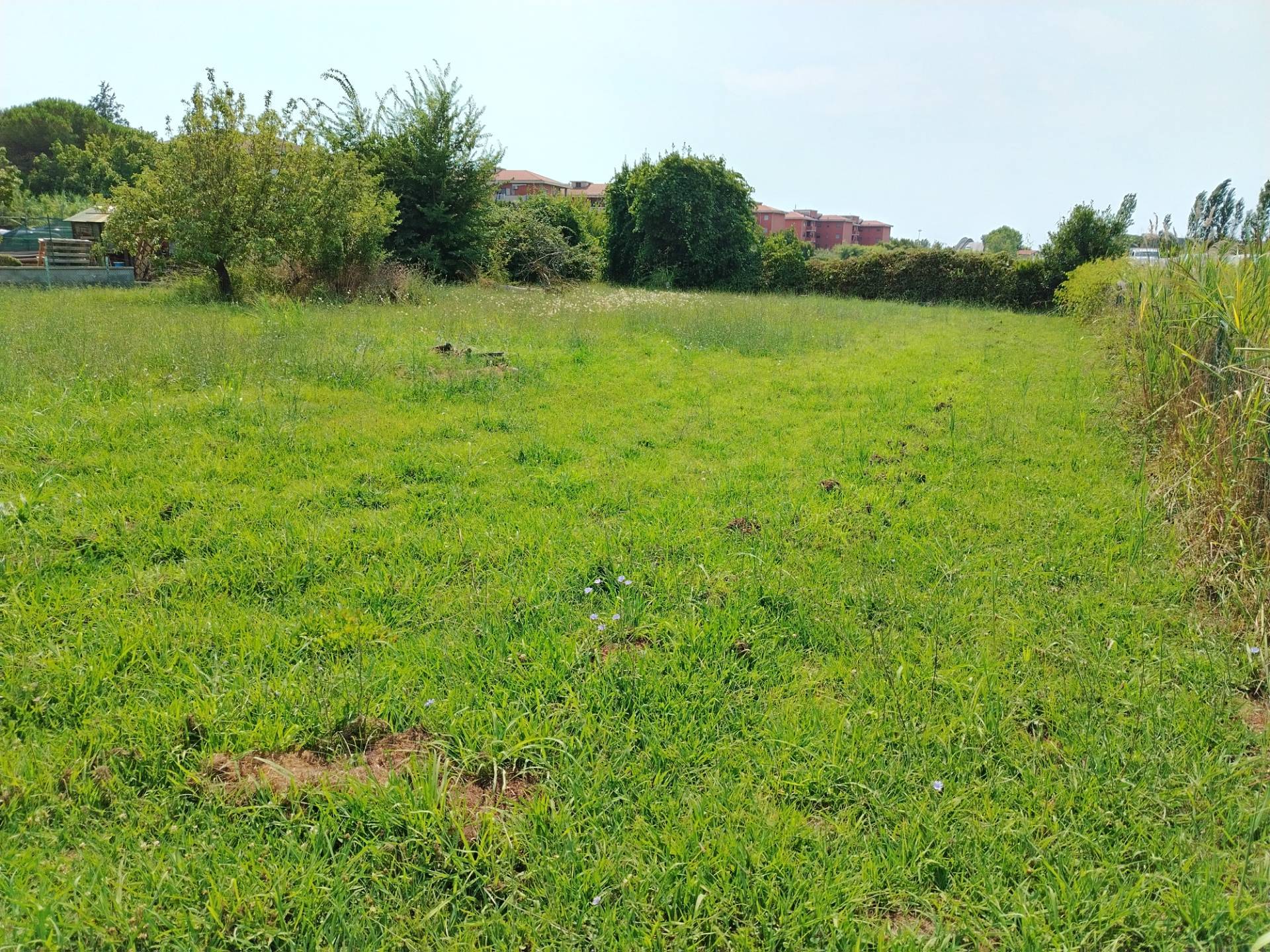 Terreno edificabile in affitto a Pisa, San Giusto