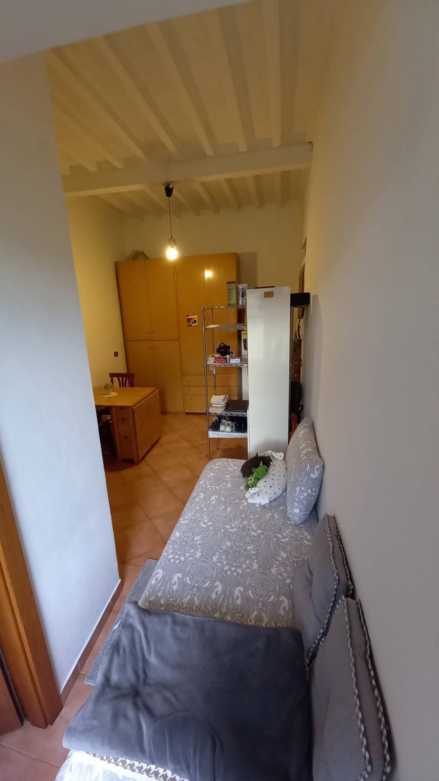 Appartamento in affitto a Pisa, Santa Maria