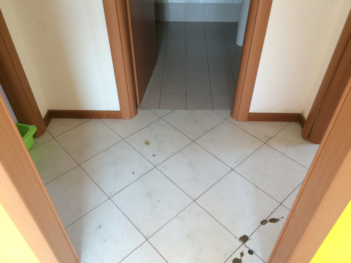 Casa indipendente in vendita a Calci, Capoluogo
