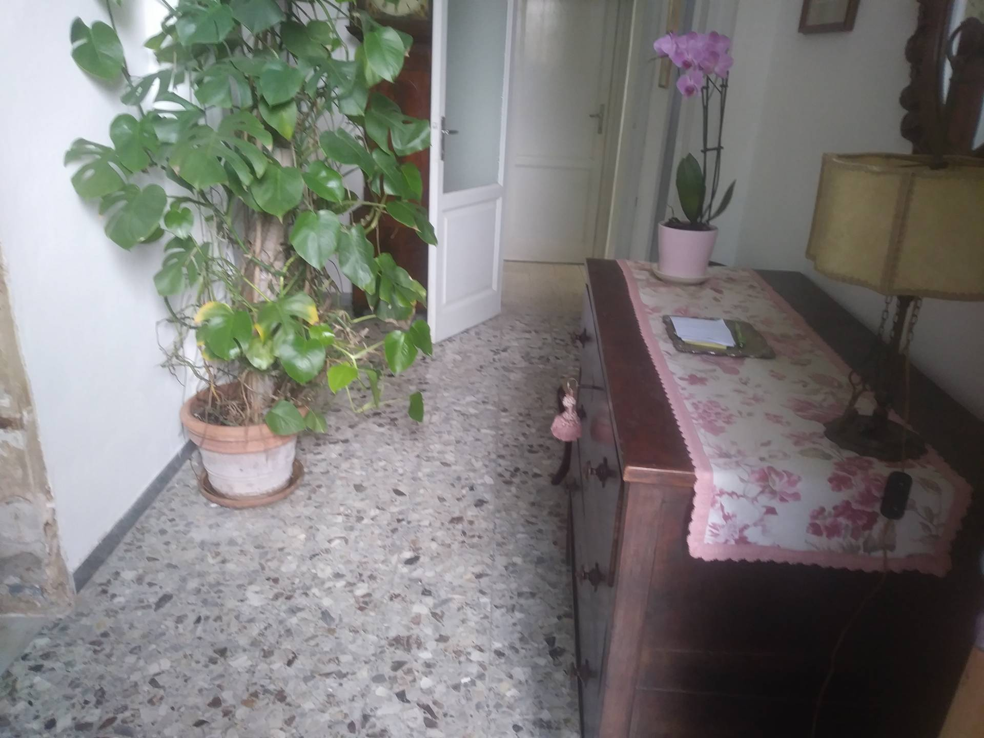 Casa indipendente in affitto a Pisa, Porta a Lucca