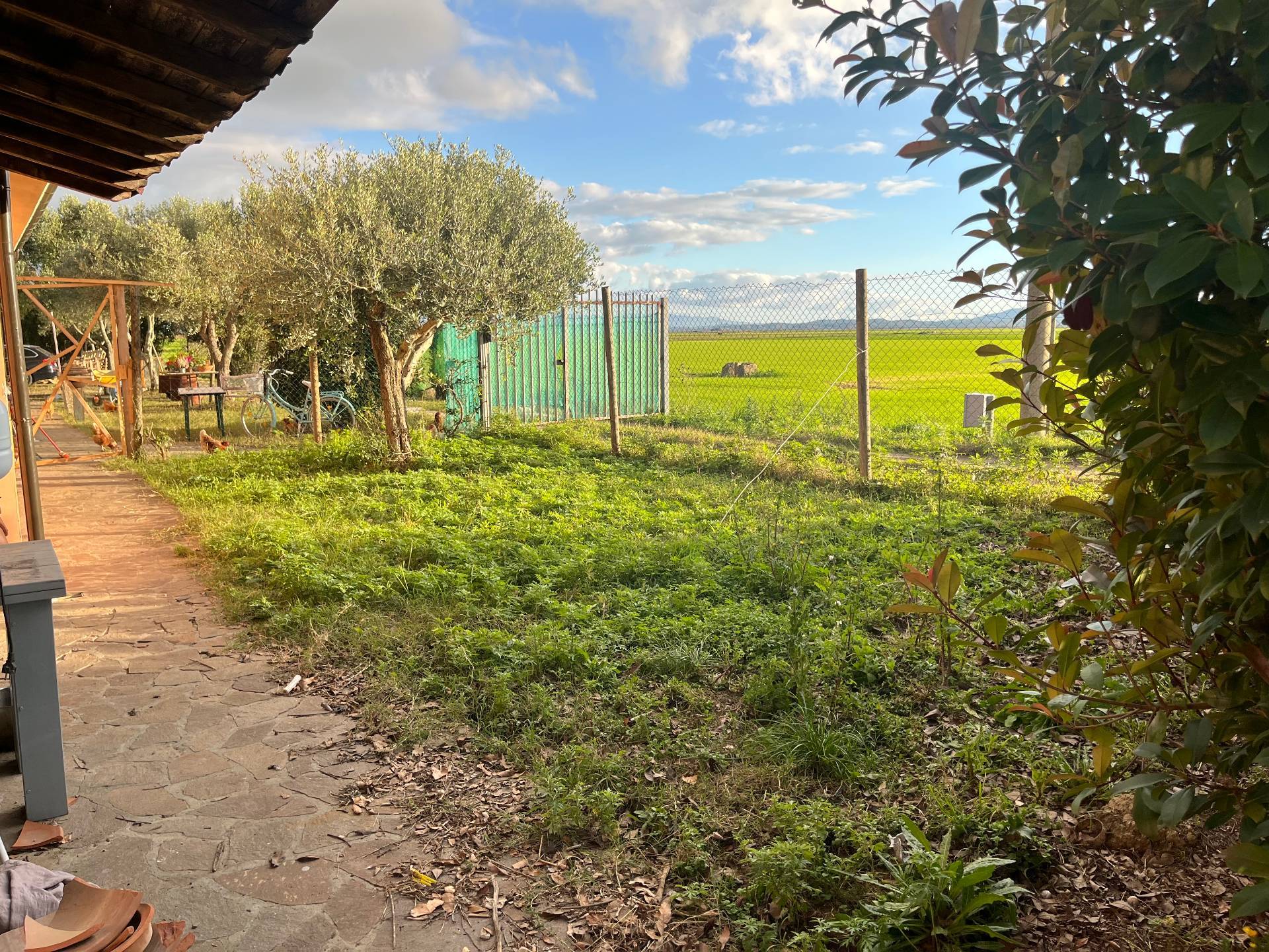Casa indipendente in affitto a Pisa, Ospedaletto
