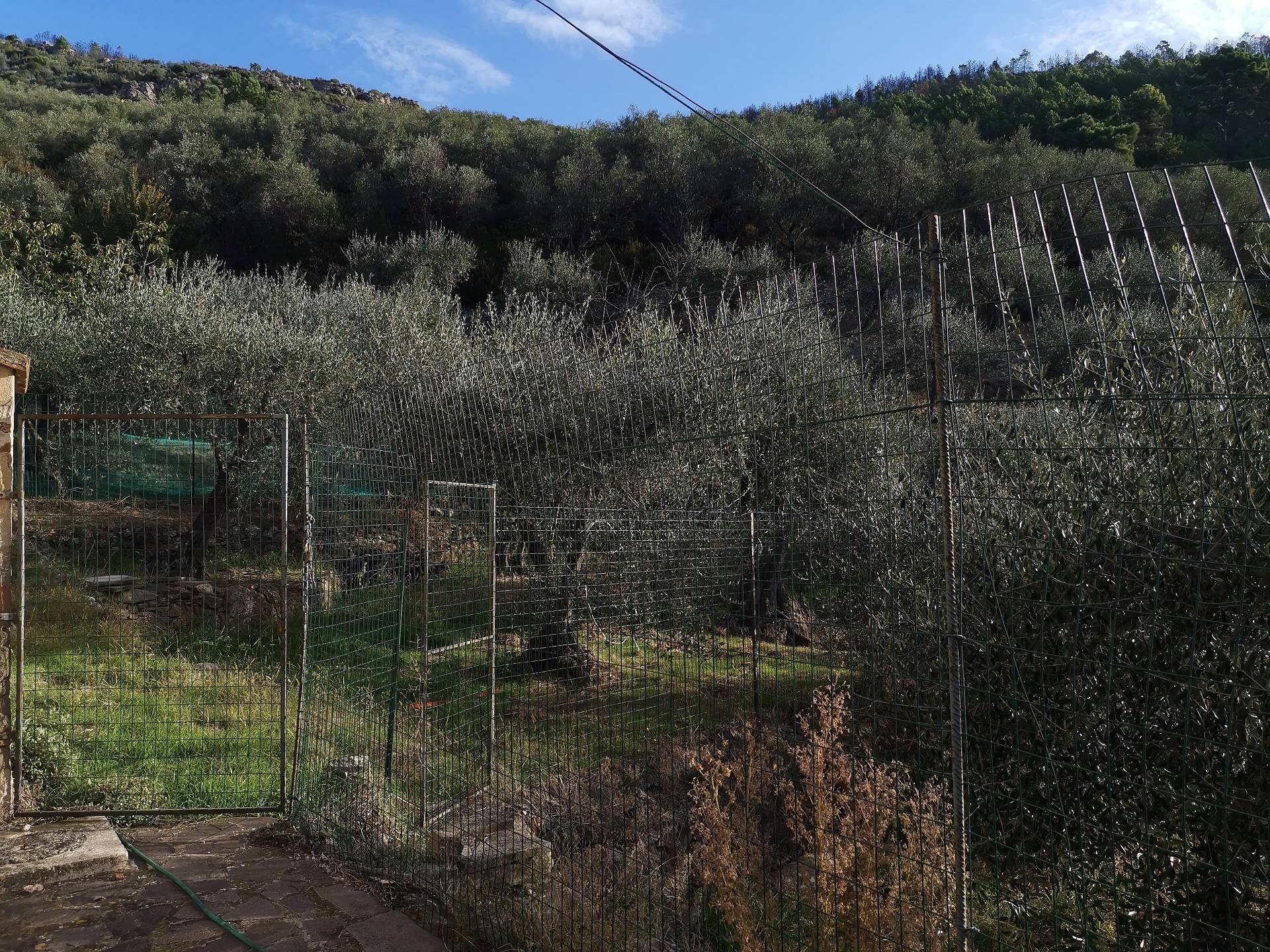 Casa indipendente in vendita a Vicopisano, Lugnano