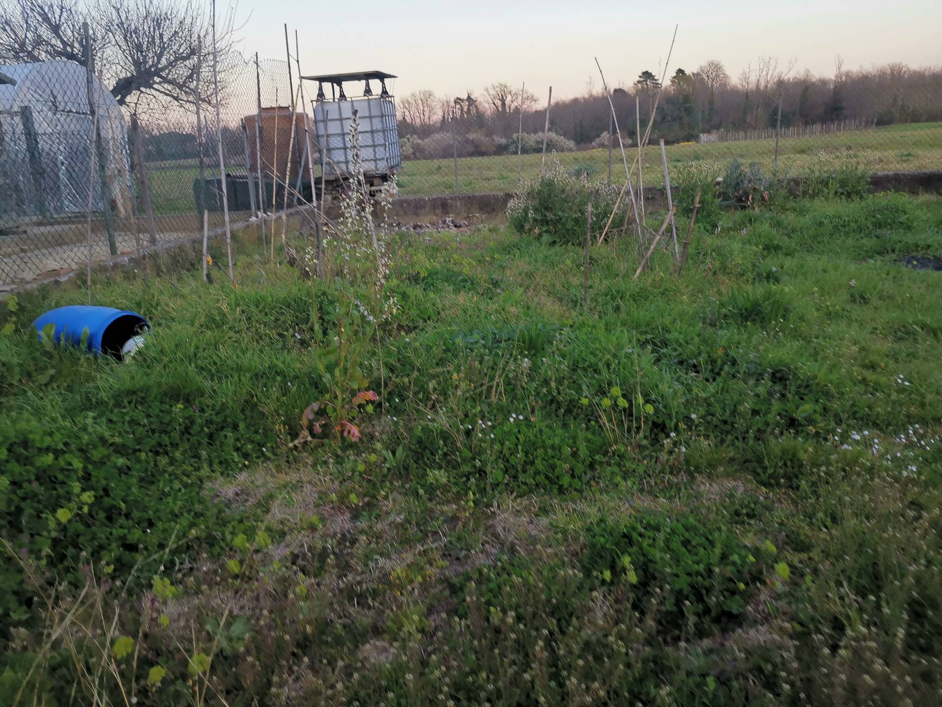 Bilocale arredato in affitto, Castelfranco di Sotto orentano