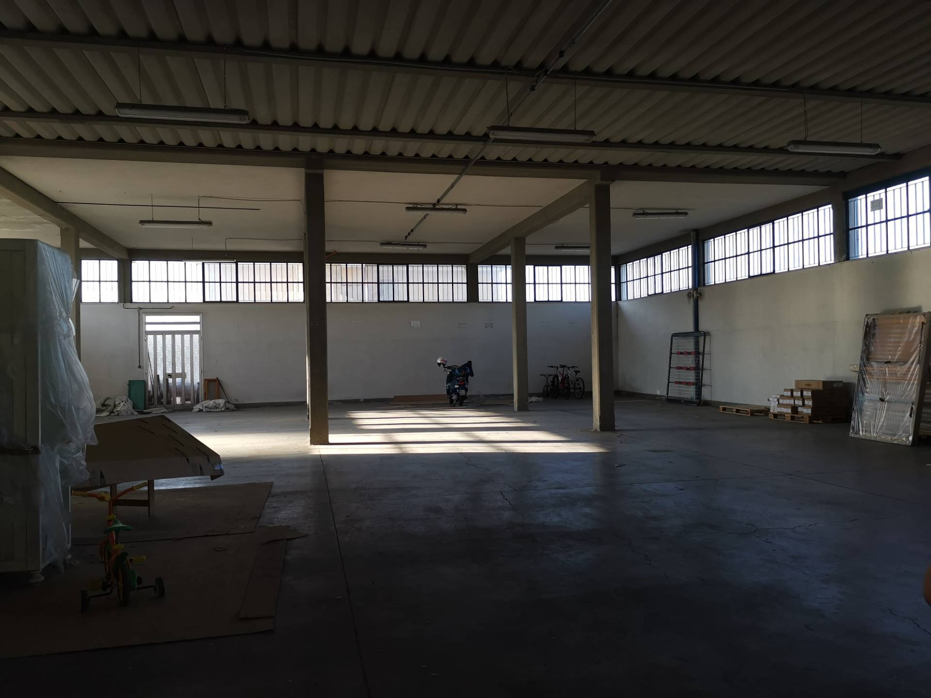 Capannone in affitto a Bientina, Bientina