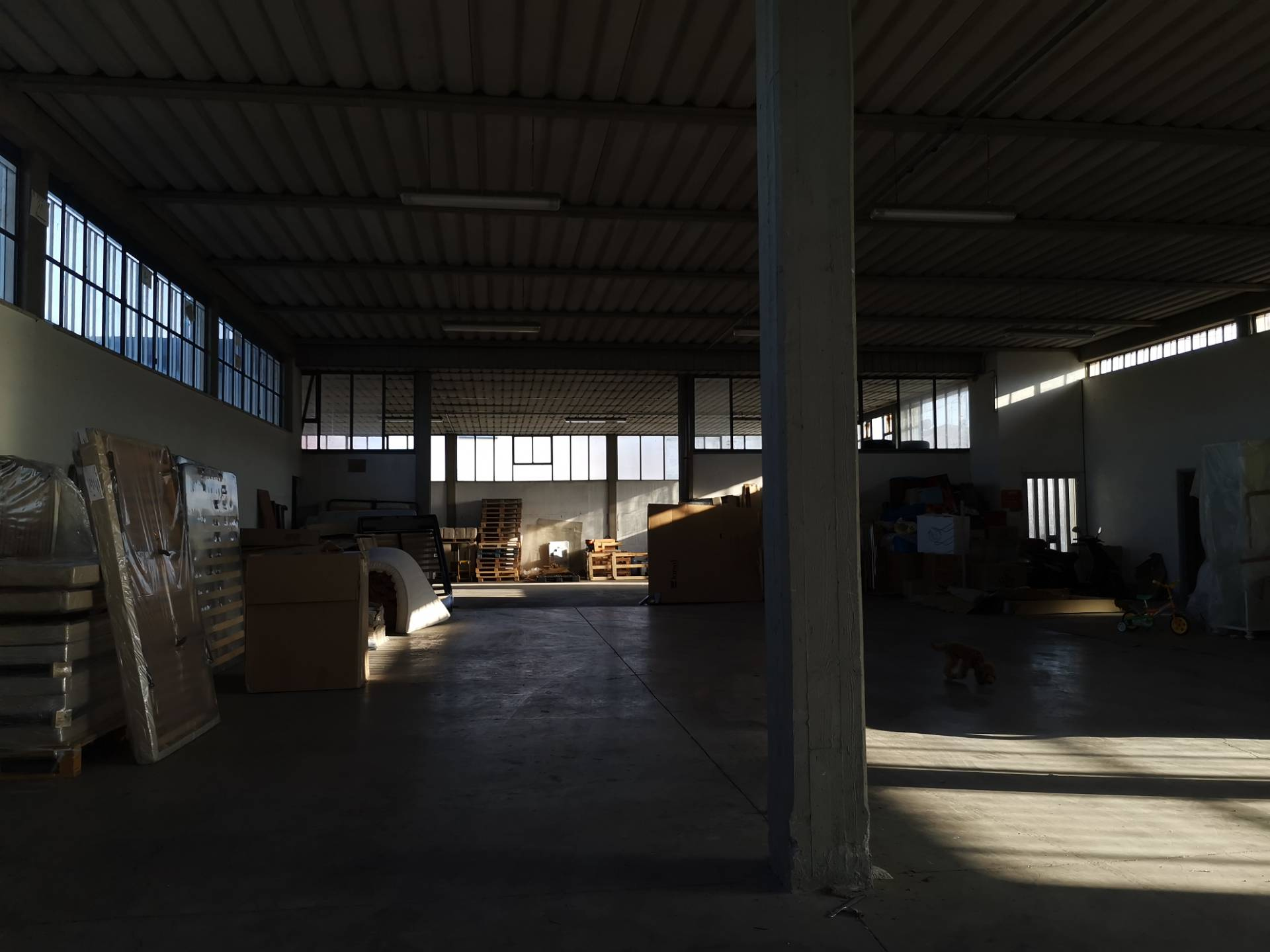 Capannone in affitto a Bientina, Bientina