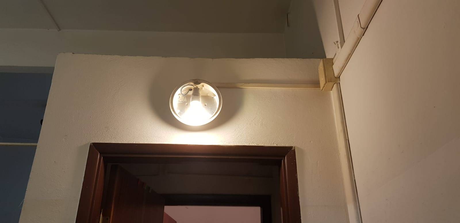 Fondo Commerciale in affitto a San Miniato