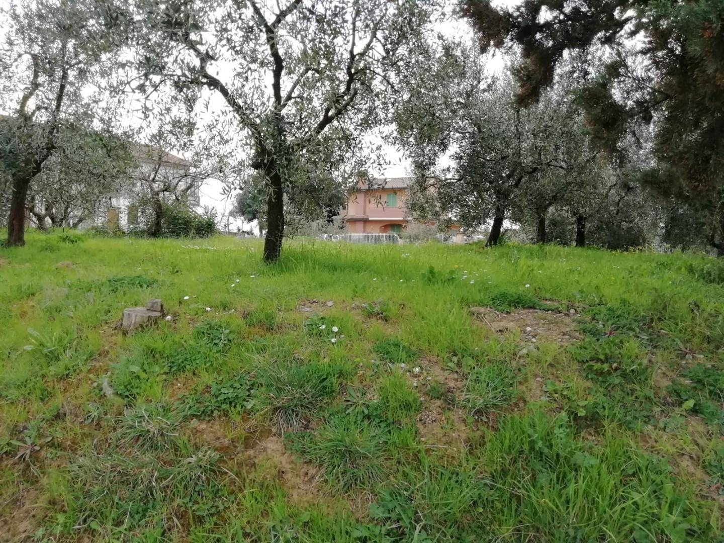 Terreno edificabile in vendita a Pontedera, Il Romito
