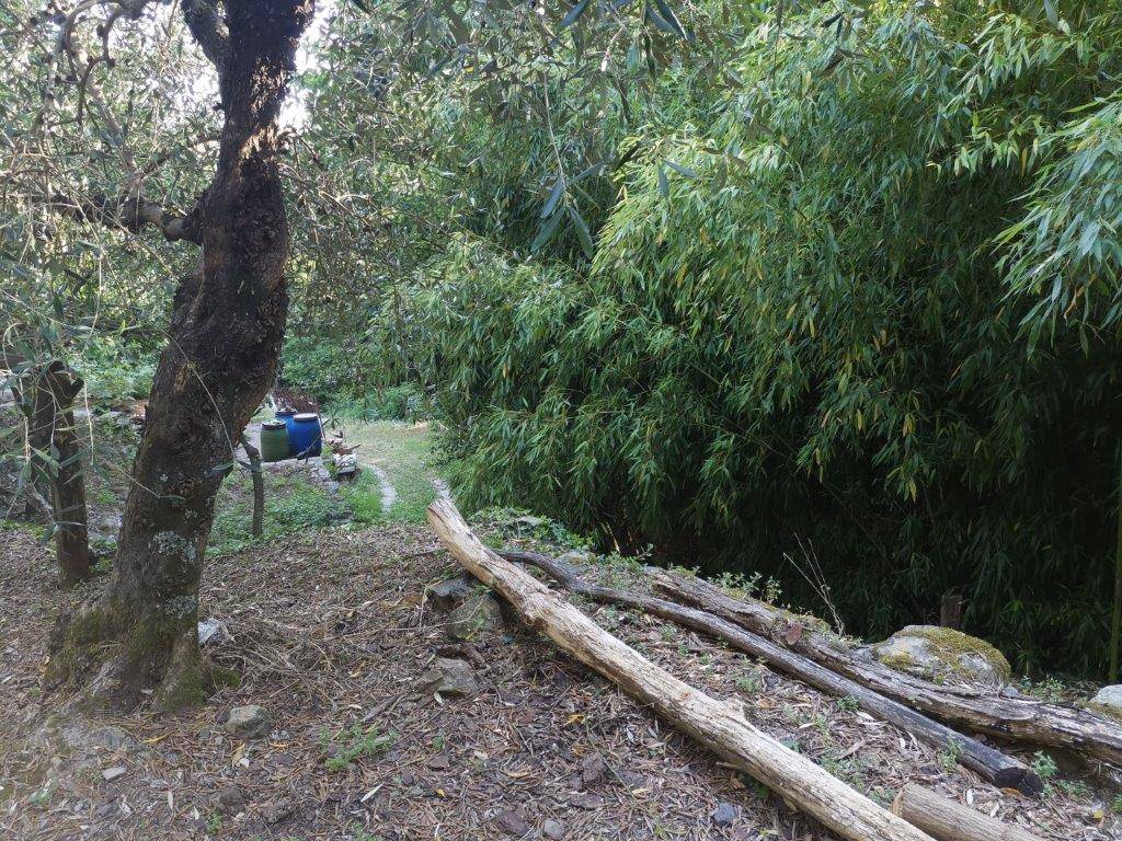 Casa indipendente in vendita a Buti, Panicale sopra Buti