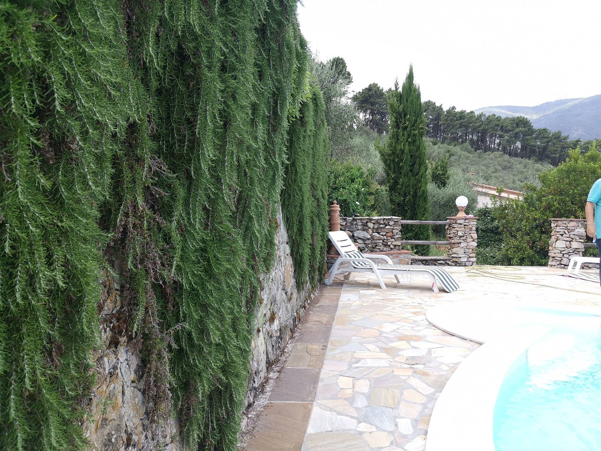 Villa in vendita a Buti, Buti